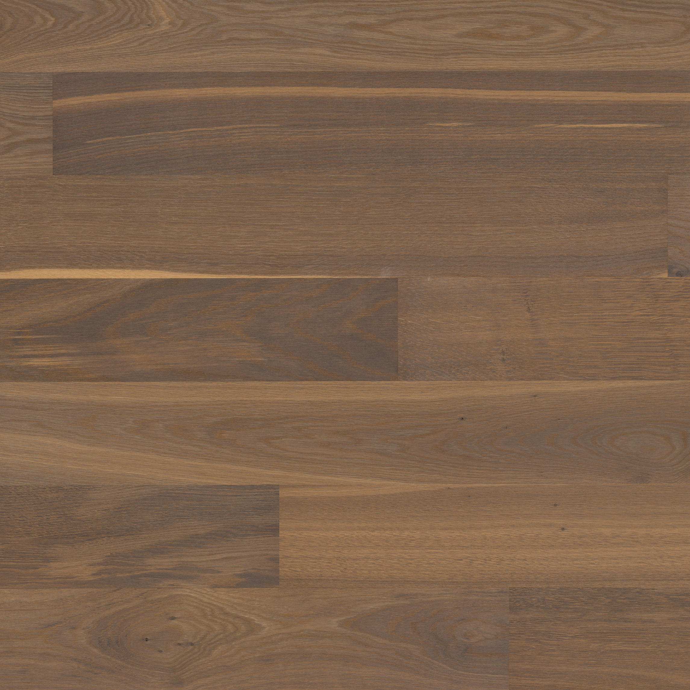 Display product Trendpark Oak smoked Farina 24 from manufacturer Bauwerk Parkett