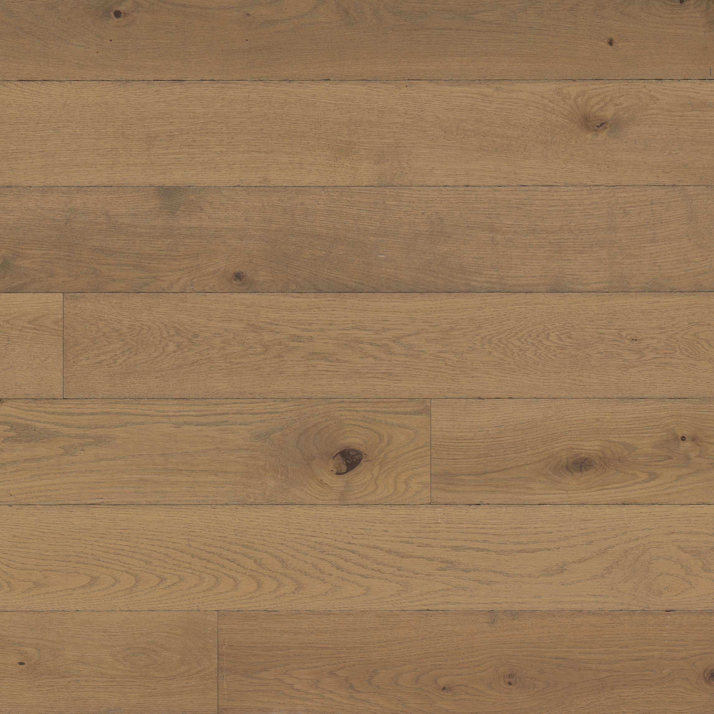 Display product Trendpark Oak Tabacco 14 from manufacturer Bauwerk Parkett