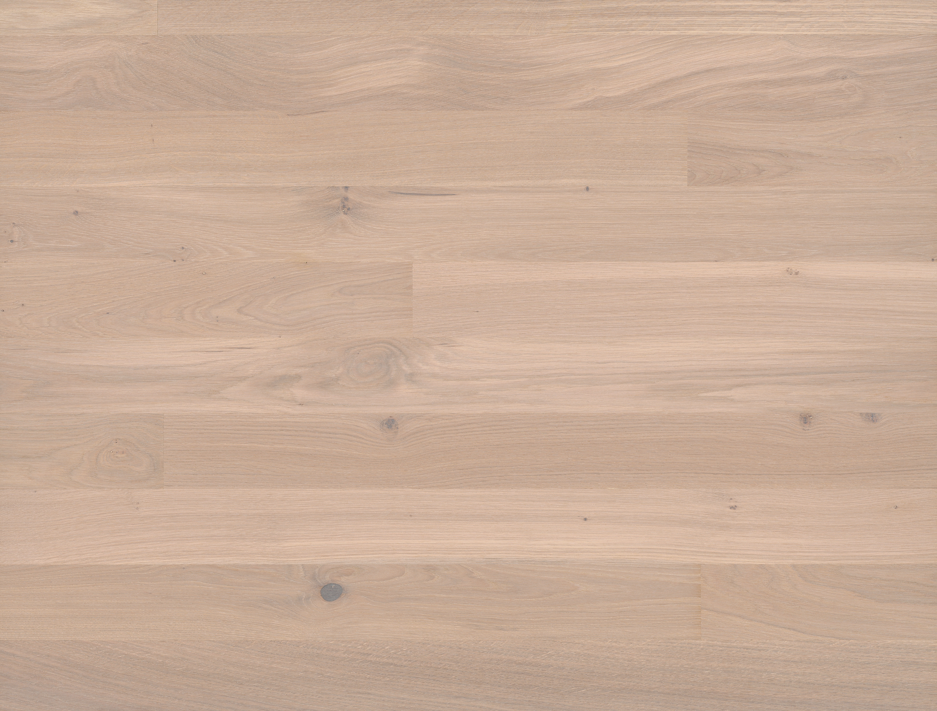 Display product Cleverpark Oak Farina 34 from manufacturer Bauwerk Parkett
