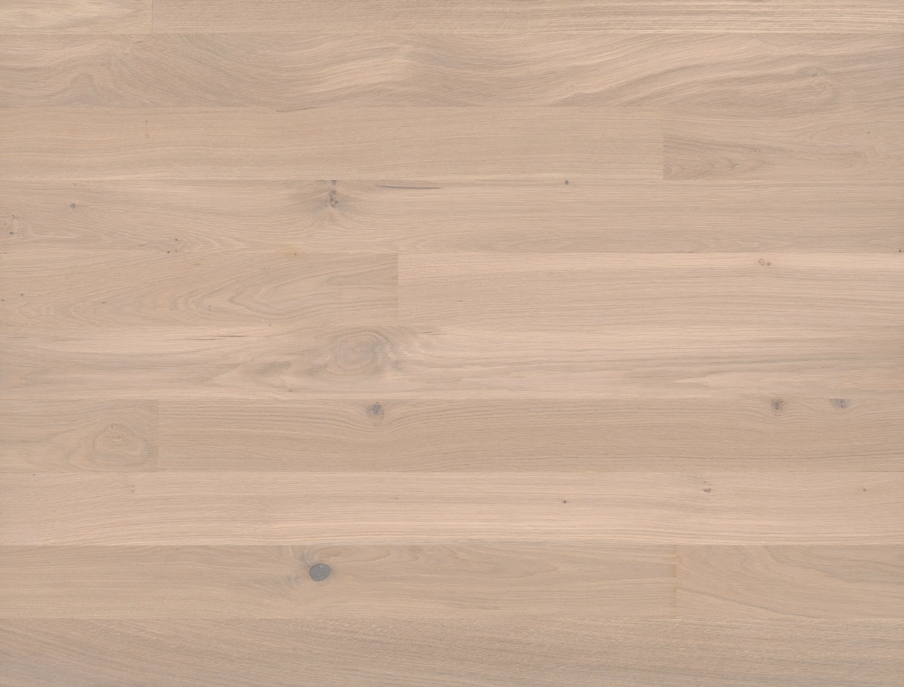 Bauwerk Parkett - Cleverpark Oak Farina 34
