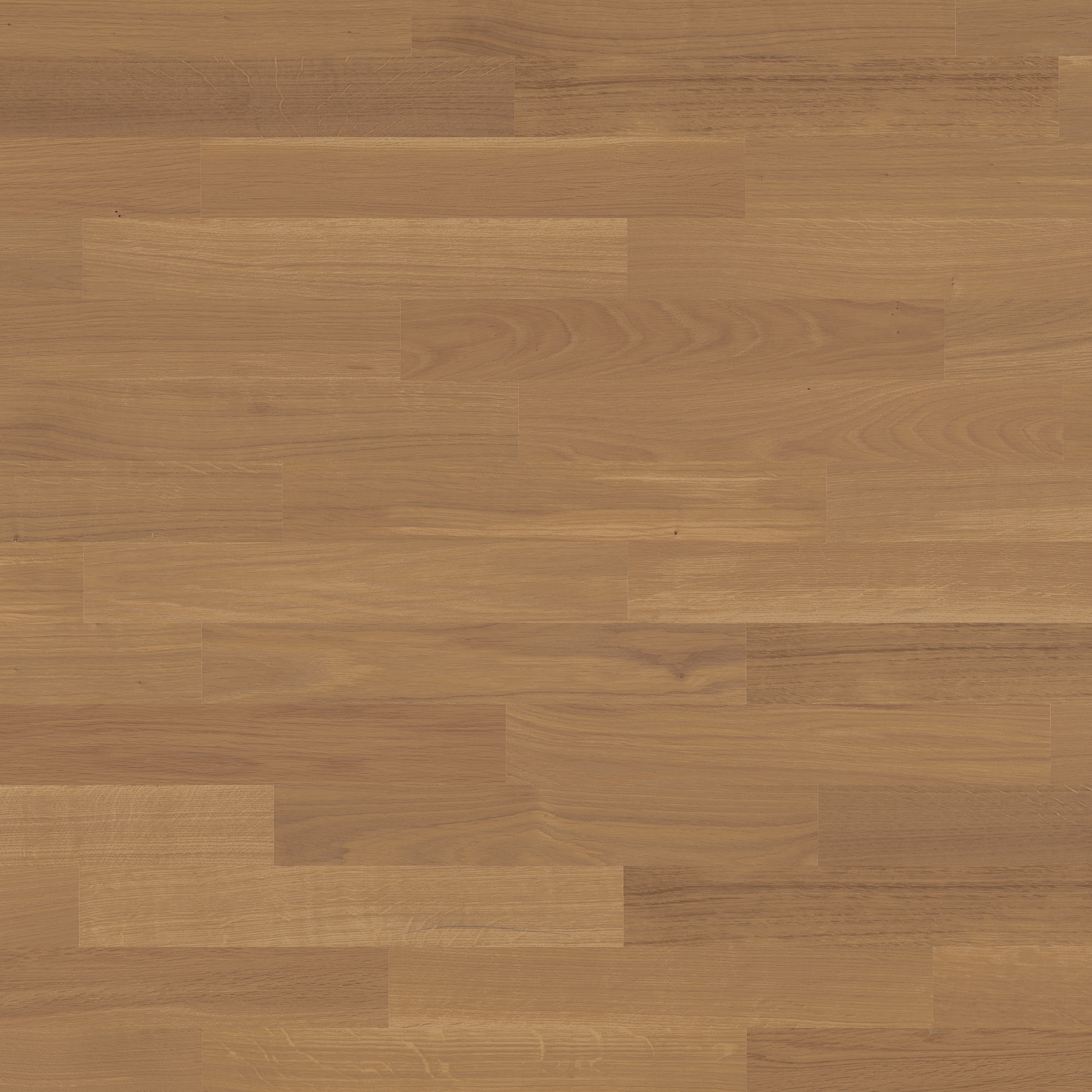 Display product Monopark Oak Mandorla 15 from manufacturer Bauwerk Parkett