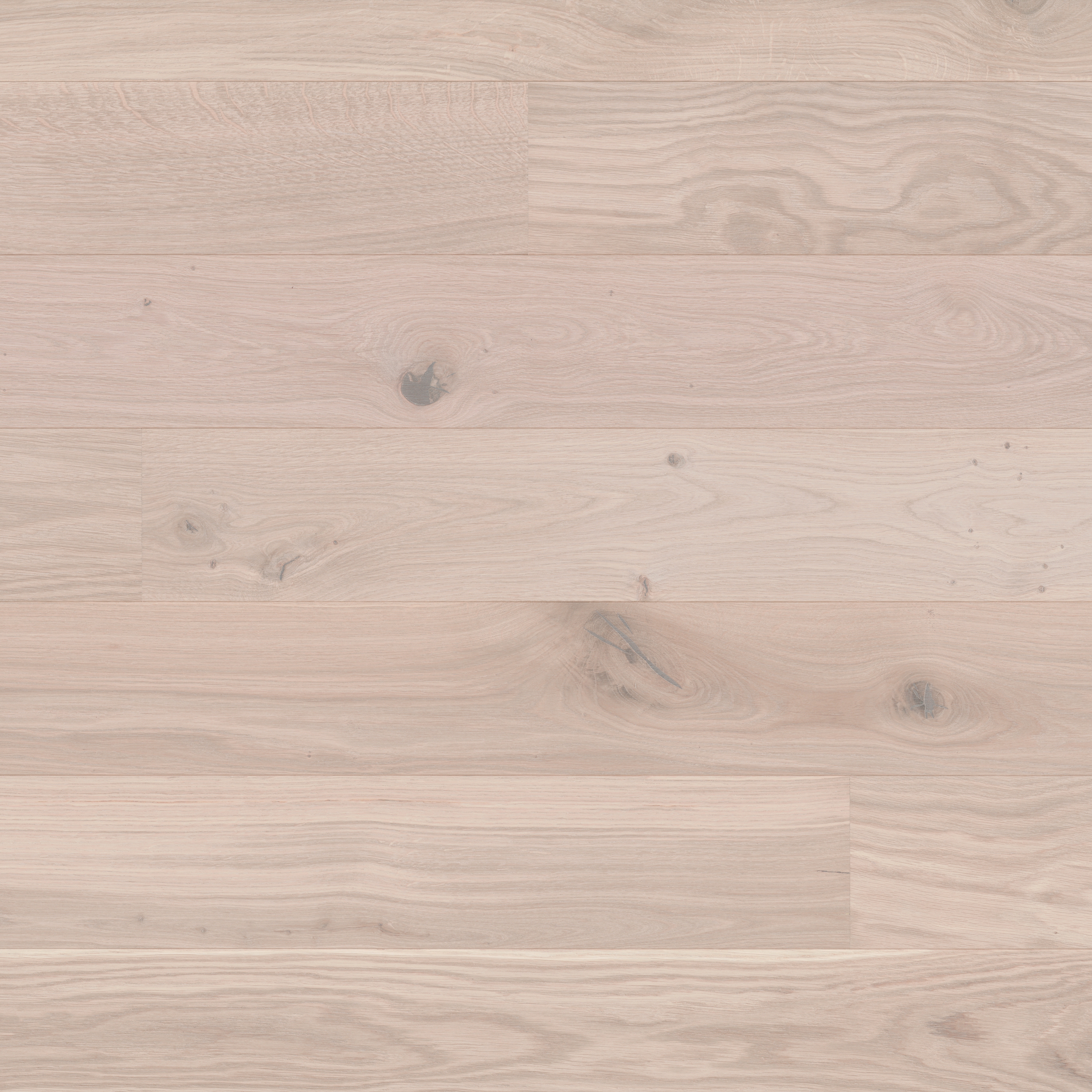Display product Studiopark Oak Farina 46 from manufacturer Bauwerk Parkett