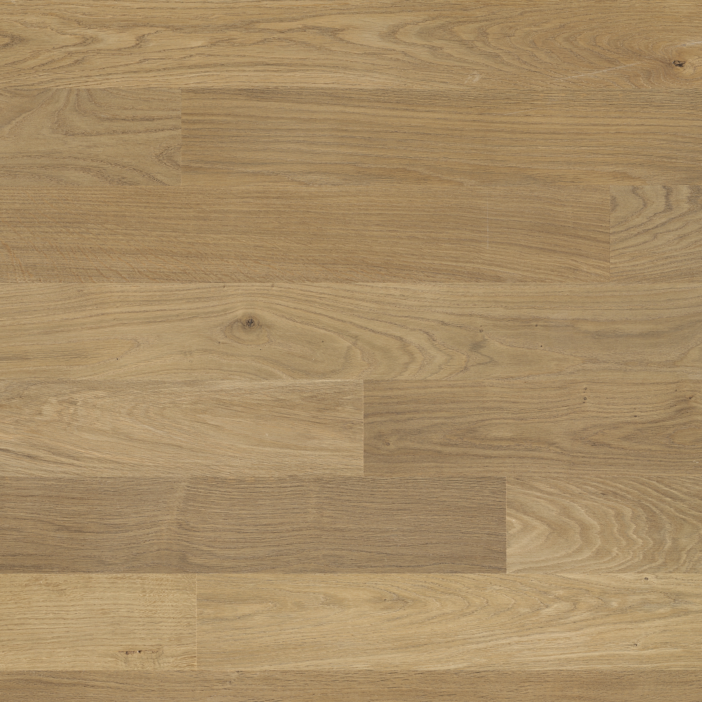 Display product Trendpark Oak slightly smoked Crema 15 from manufacturer Bauwerk Parkett