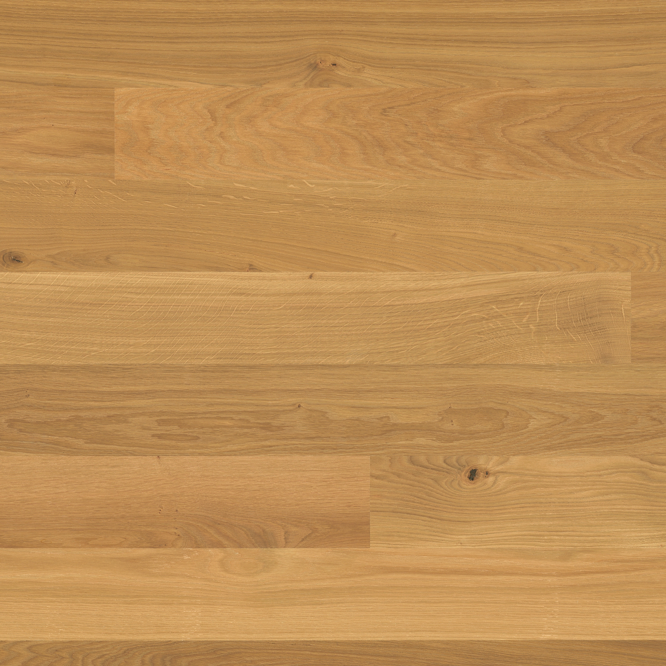 Display product Trendpark Oak Mandorla 14 from manufacturer Bauwerk Parkett