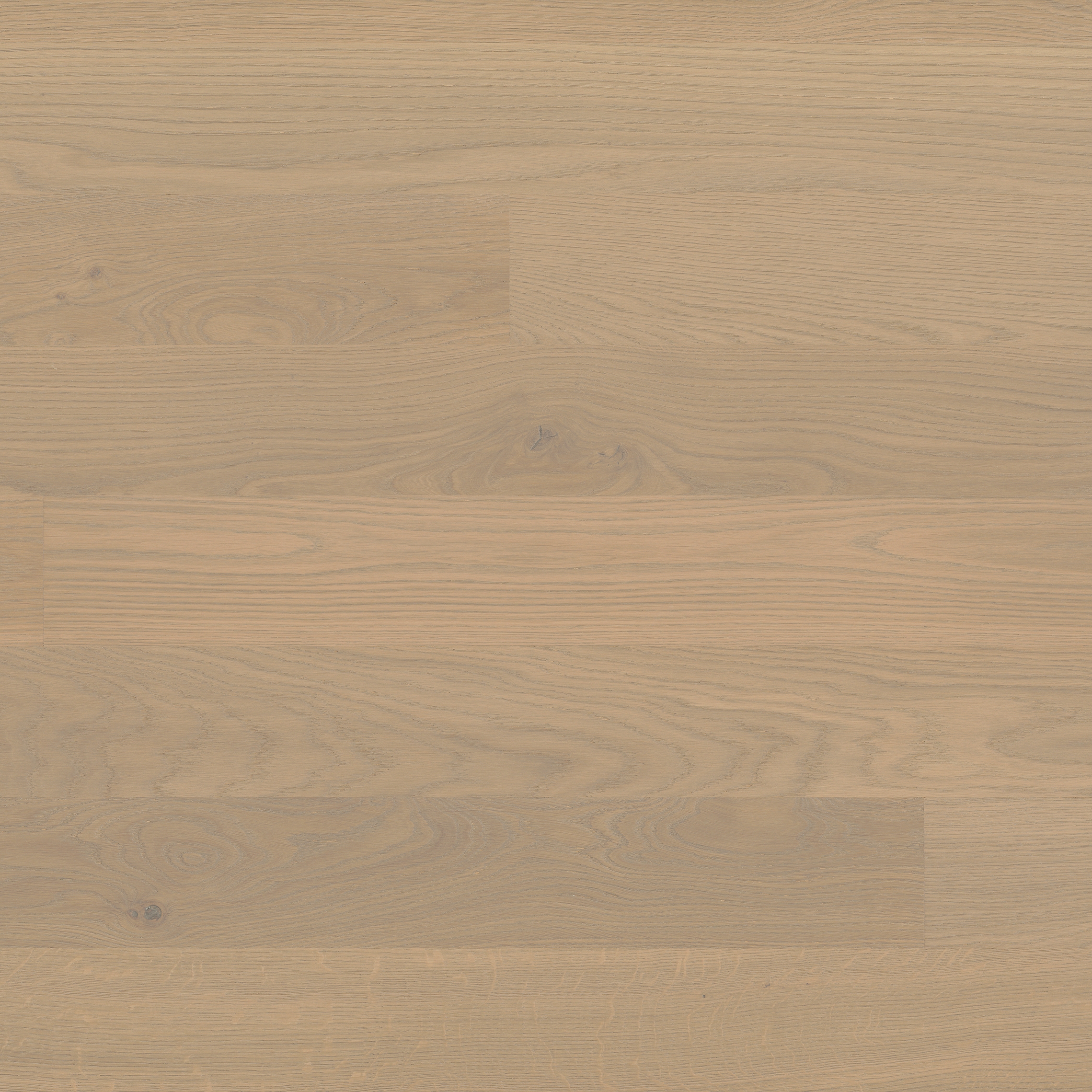 Mostrar el producto Trendpark Oak Sasso 14 del fabricante Bauwerk Parkett