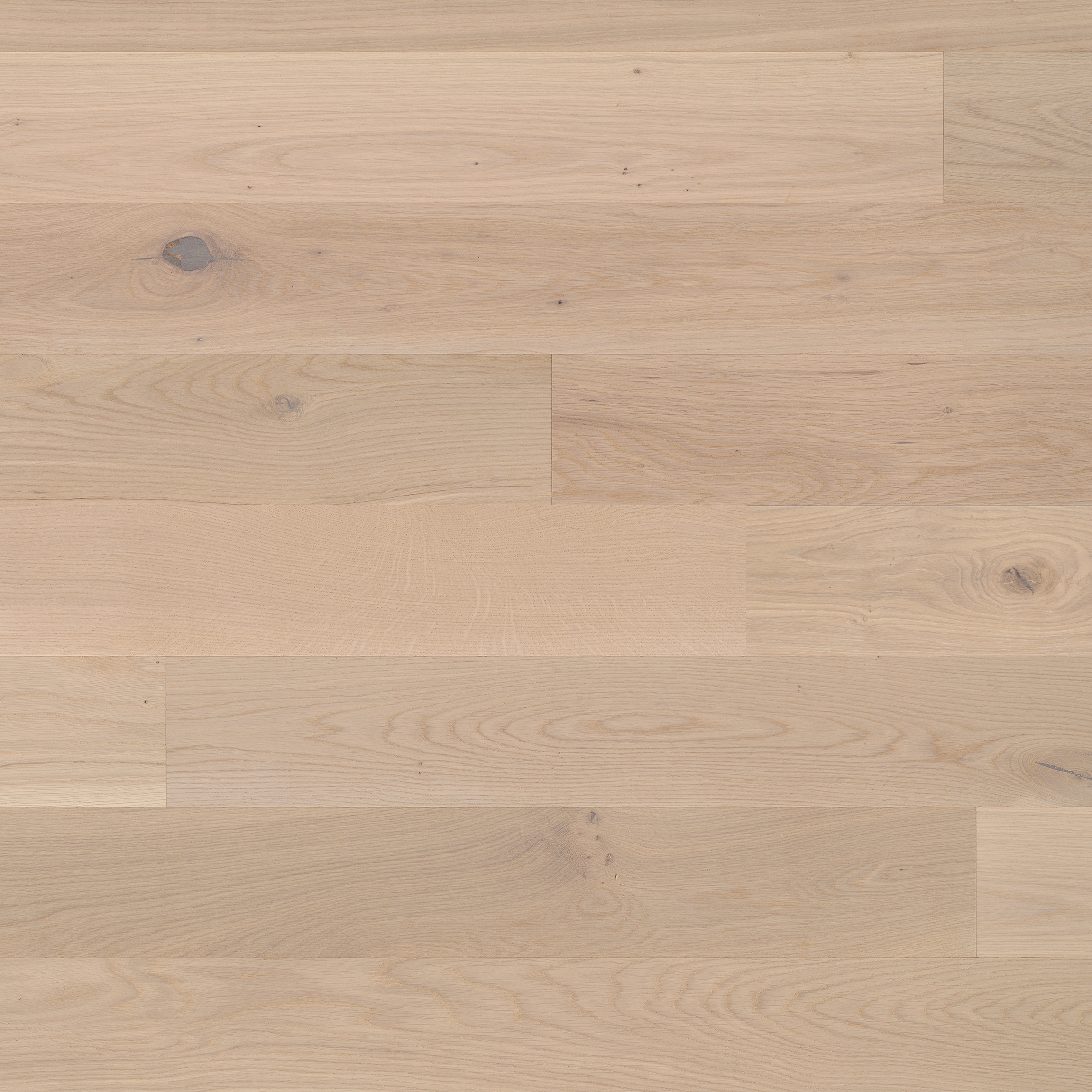 Display product Trendpark Oak Farina 35 from manufacturer Bauwerk Parkett