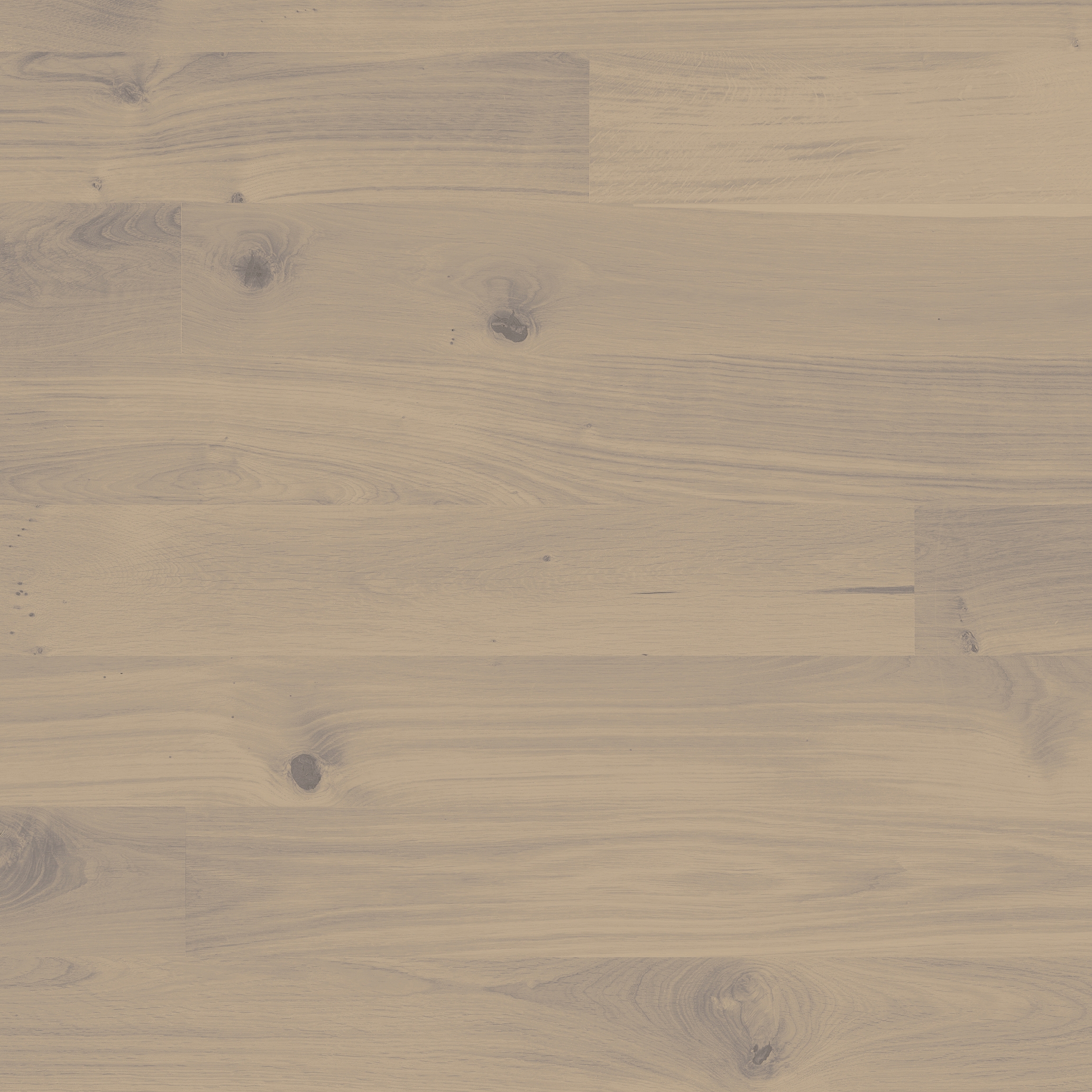 Display product Trendpark Oak Sasso 35 from manufacturer Bauwerk Parkett