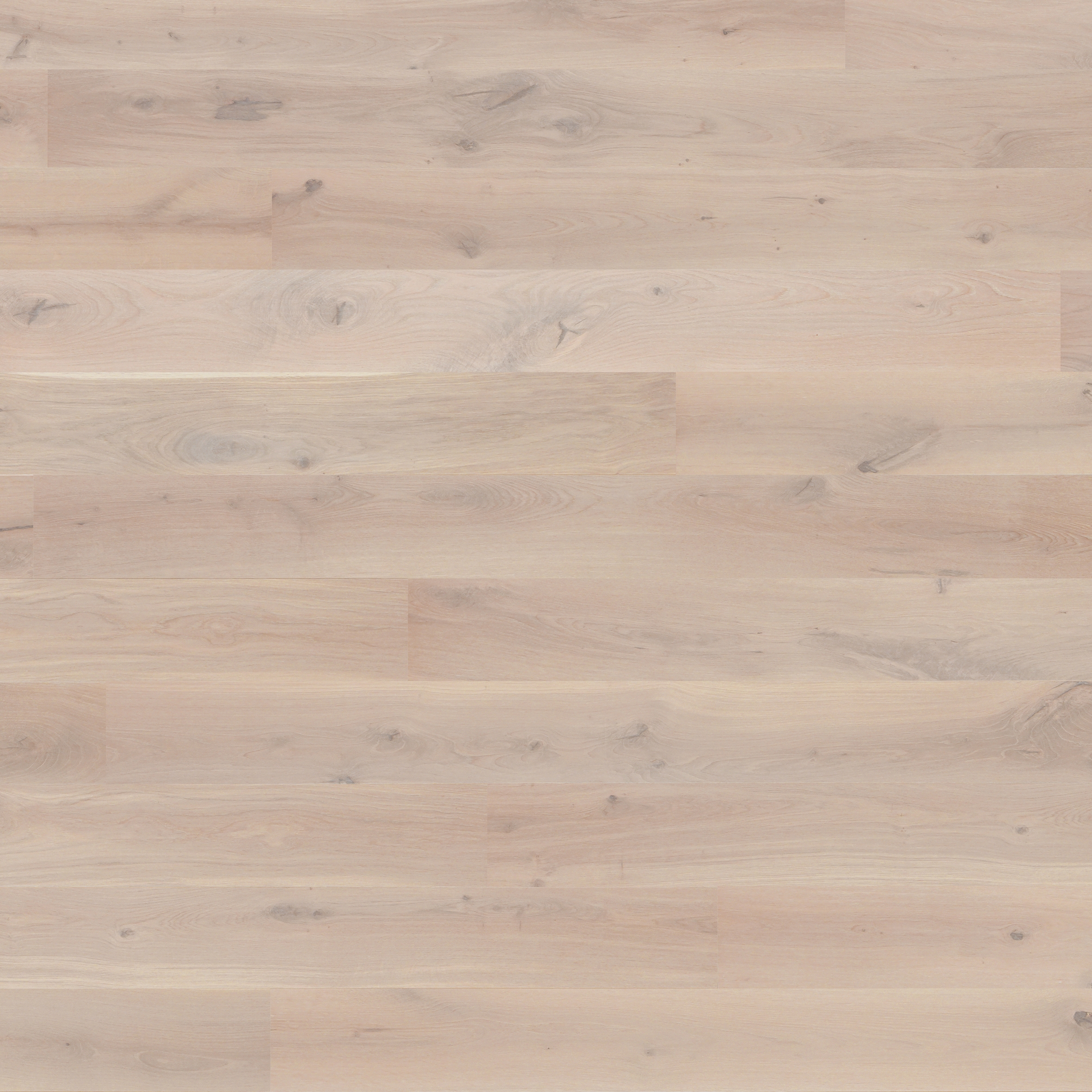 Display product Villapark Oak Farina 46 from manufacturer Bauwerk Parkett