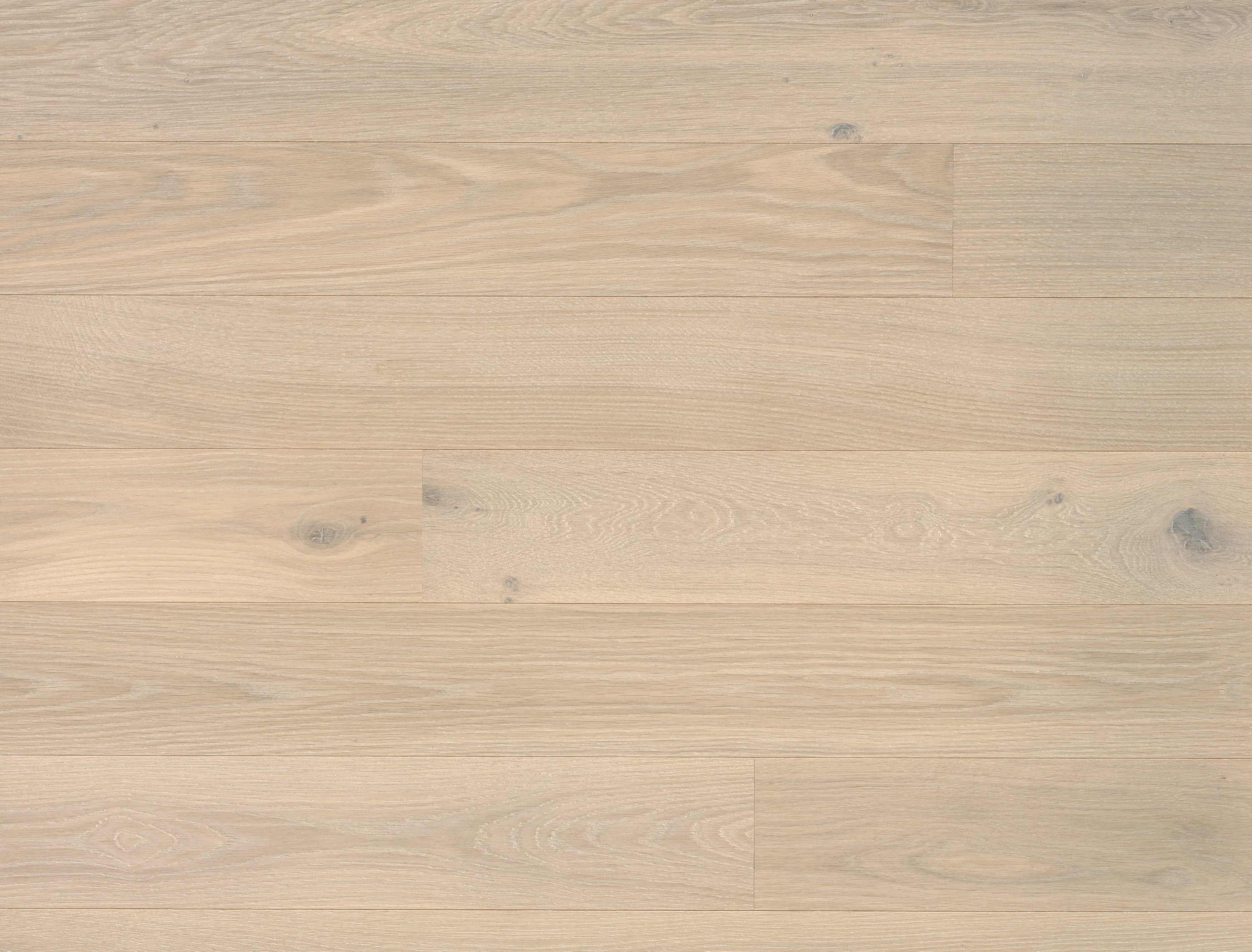 Bauwerk Parkett - Studiopark Eiche Farina 15