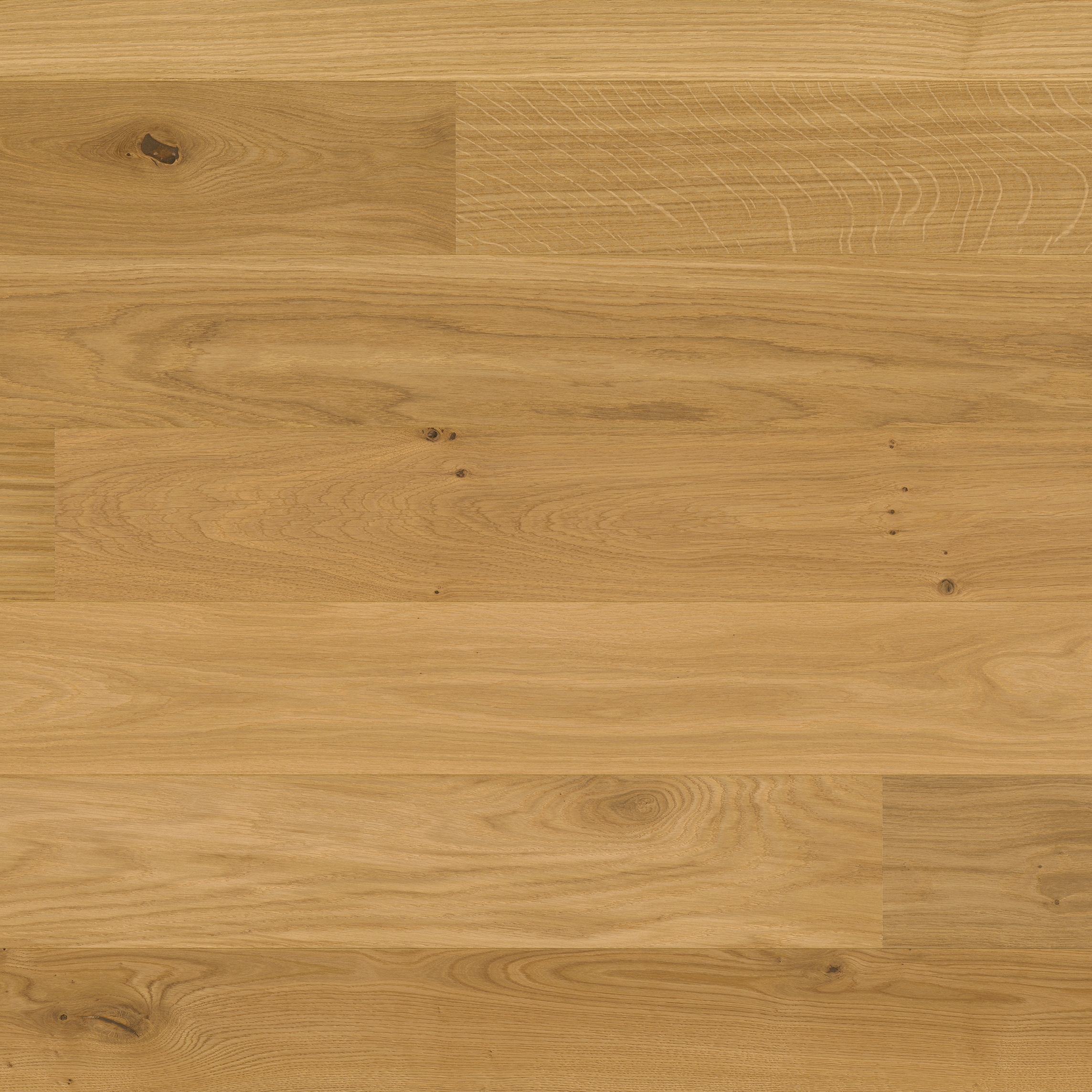 Display product Studiopark Oak 15 from manufacturer Bauwerk Parkett