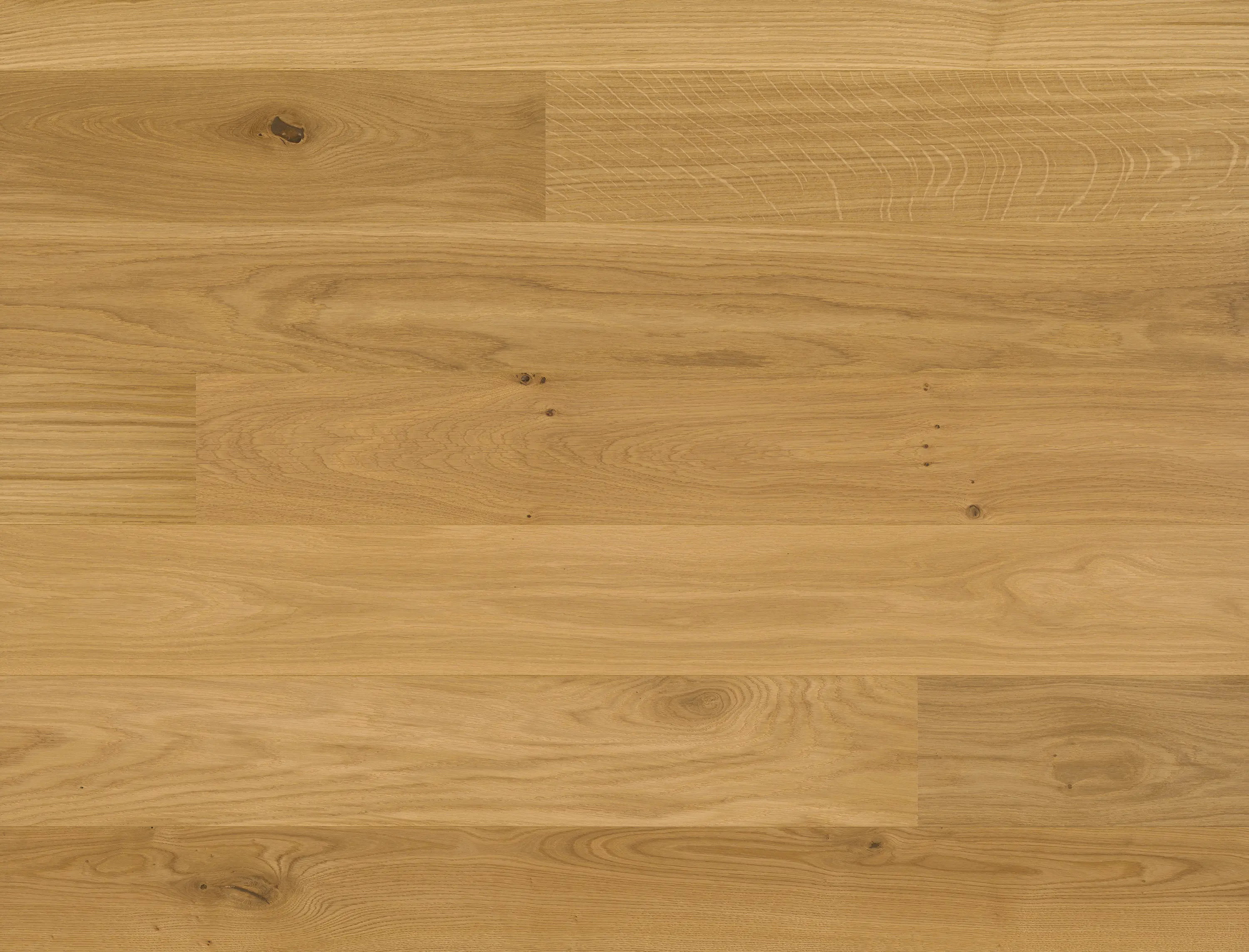 Bauwerk Parkett - Studiopark Oak 15