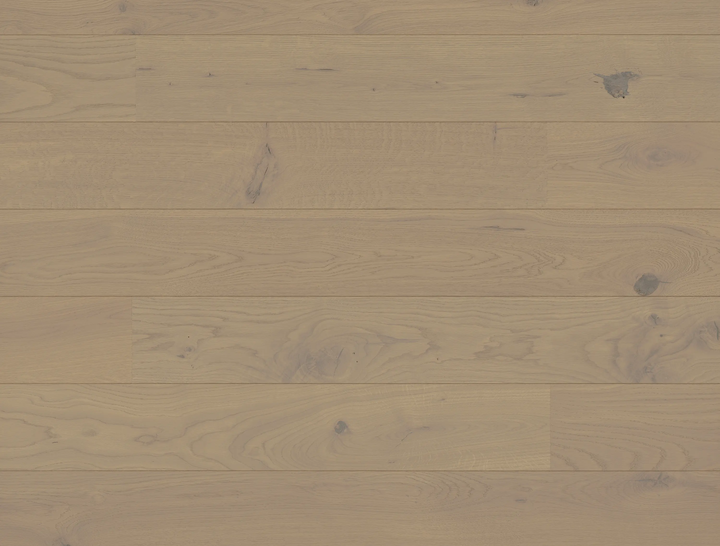 Bauwerk Parkett - Studiopark Eiche Creta 46