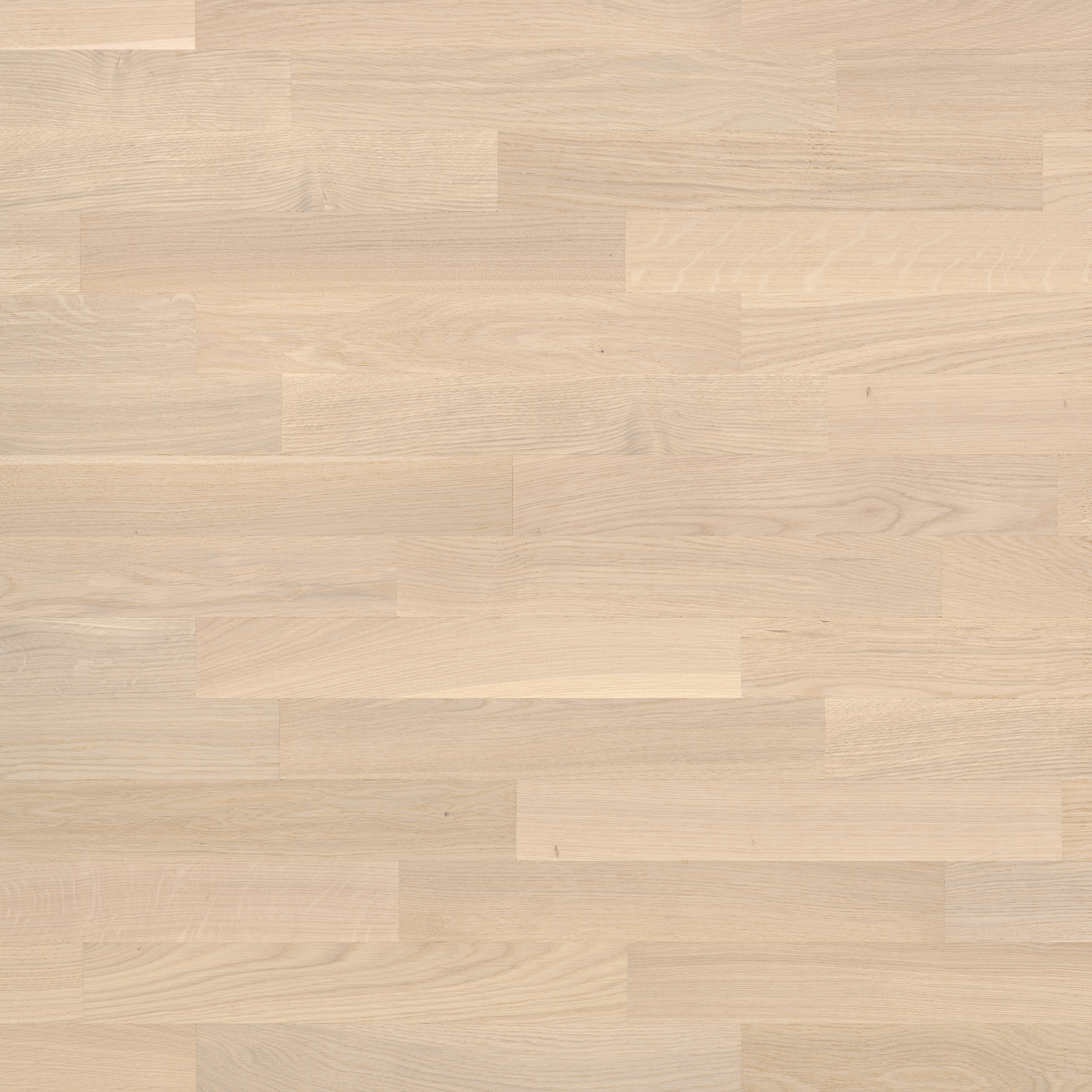 Display product Monopark R+L Oak Farina 15 from manufacturer Bauwerk Parkett