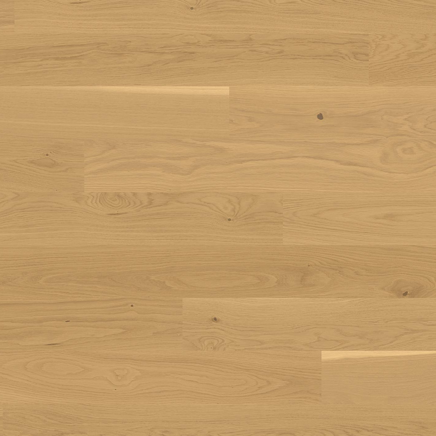 Trendpark 1390 Oak Avorio 24