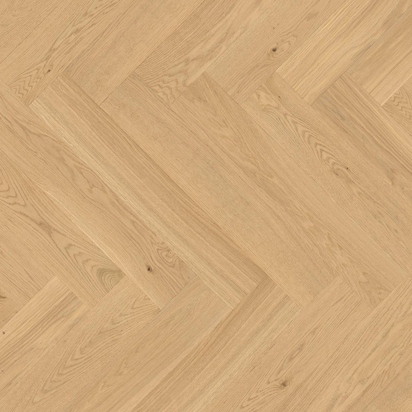 Vectorpark Rovere Crema 14
