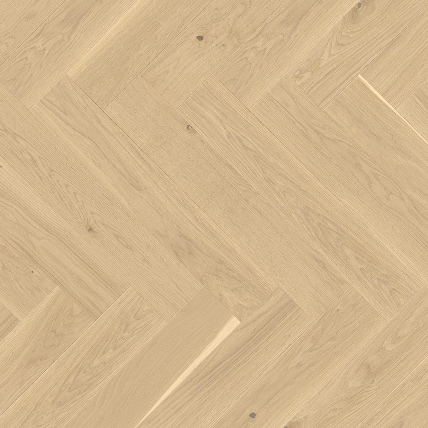 Vectorpark Oak Farina 24