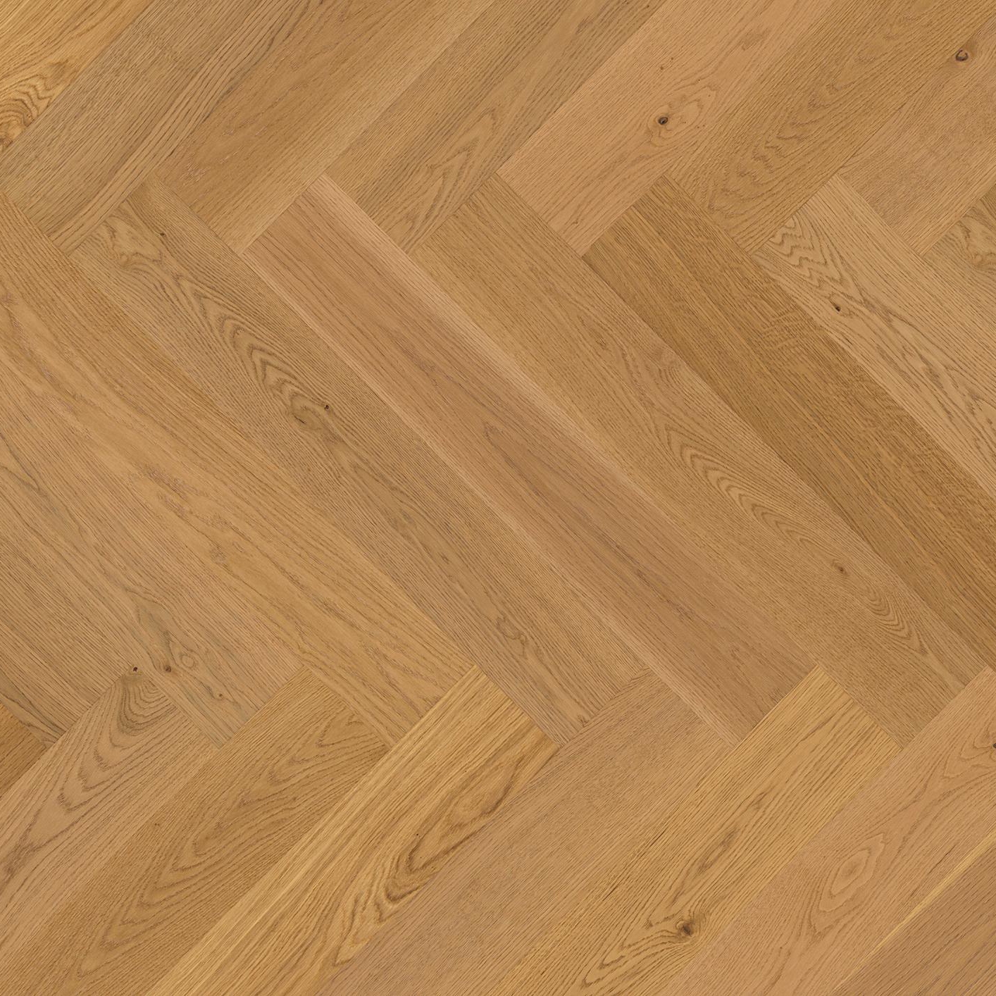 Vectorpark Oak Mandorla 24