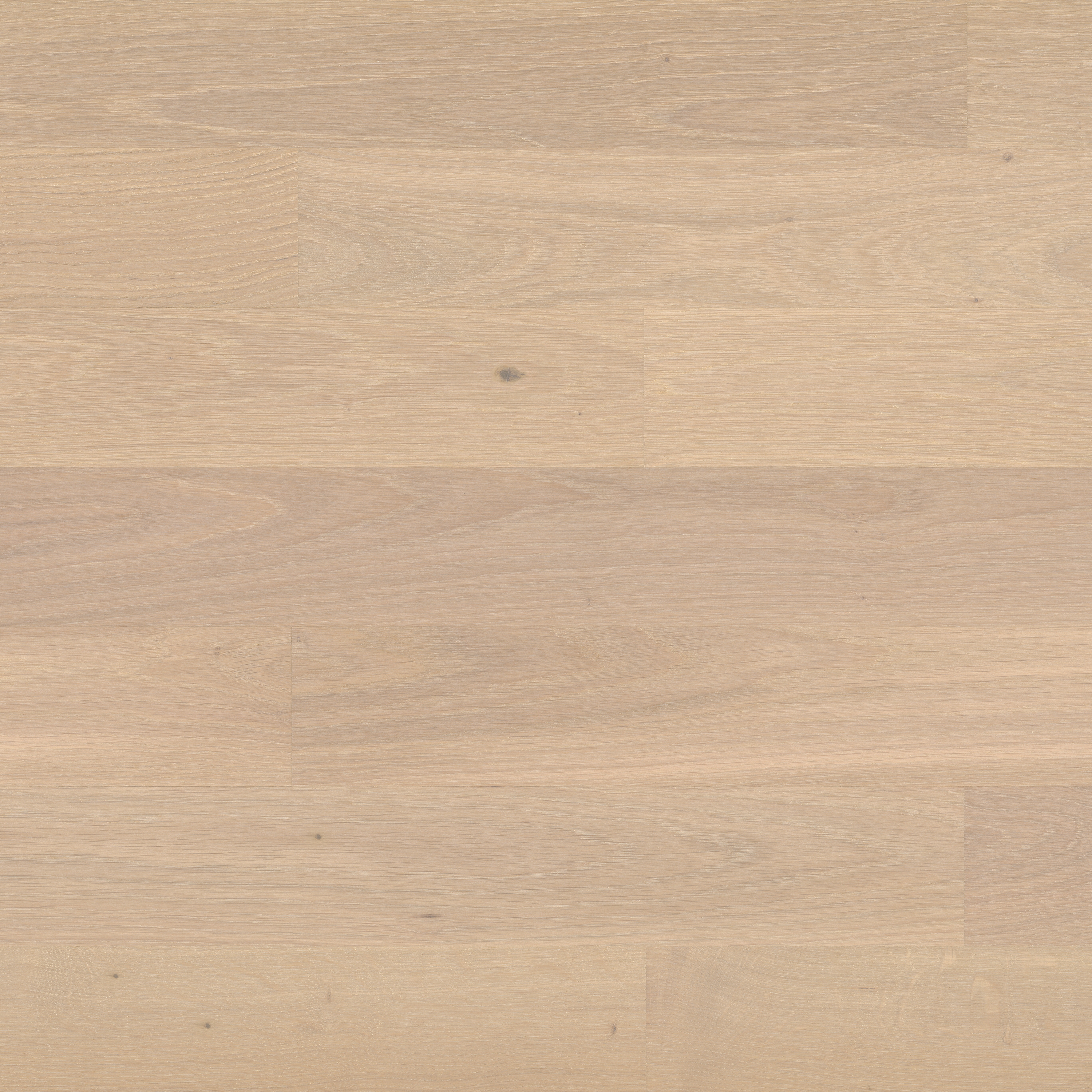 Display product Cleverpark Oak Farina 14 from manufacturer Bauwerk Parkett