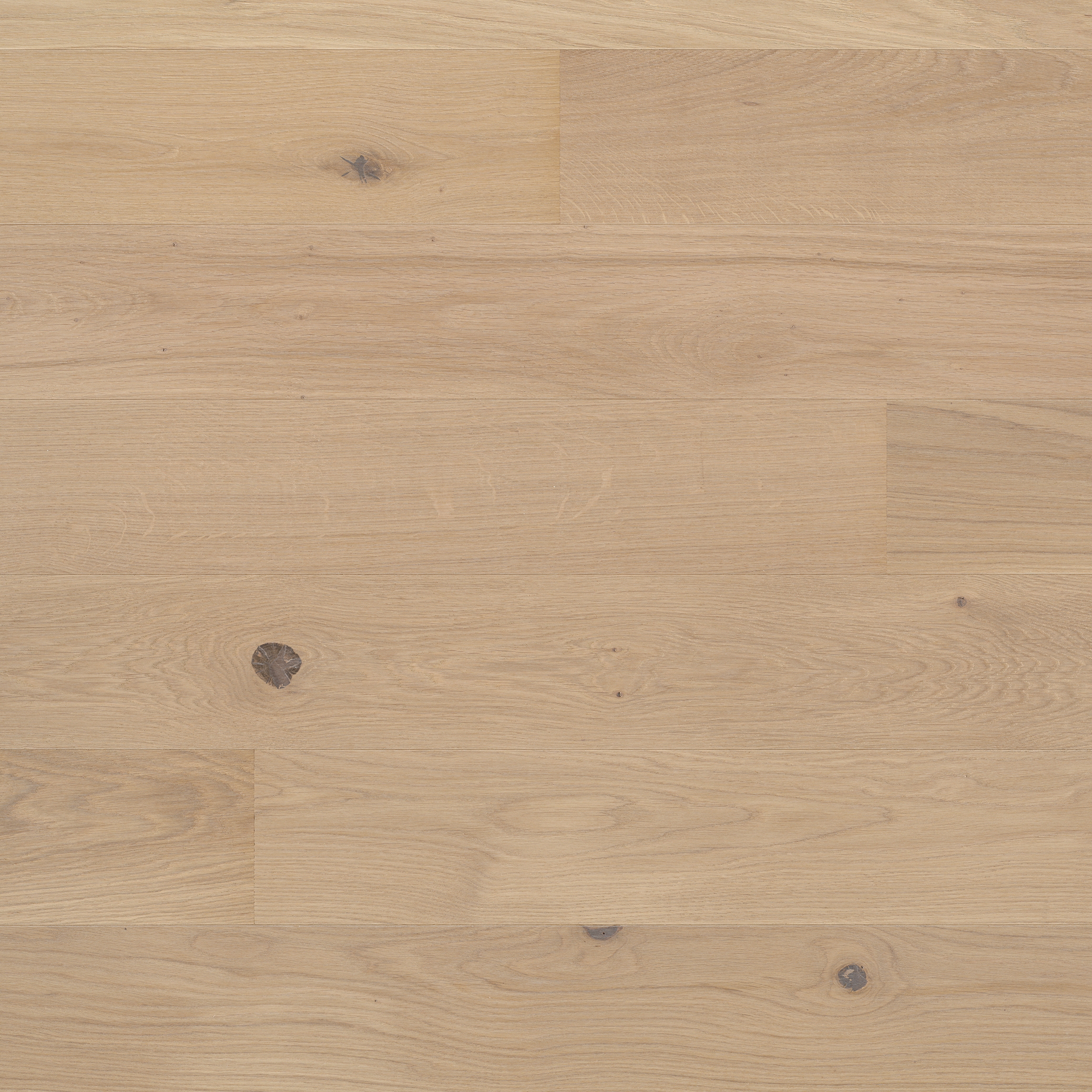 Display product Studiopark Oak Avorio 15 from manufacturer Bauwerk Parkett