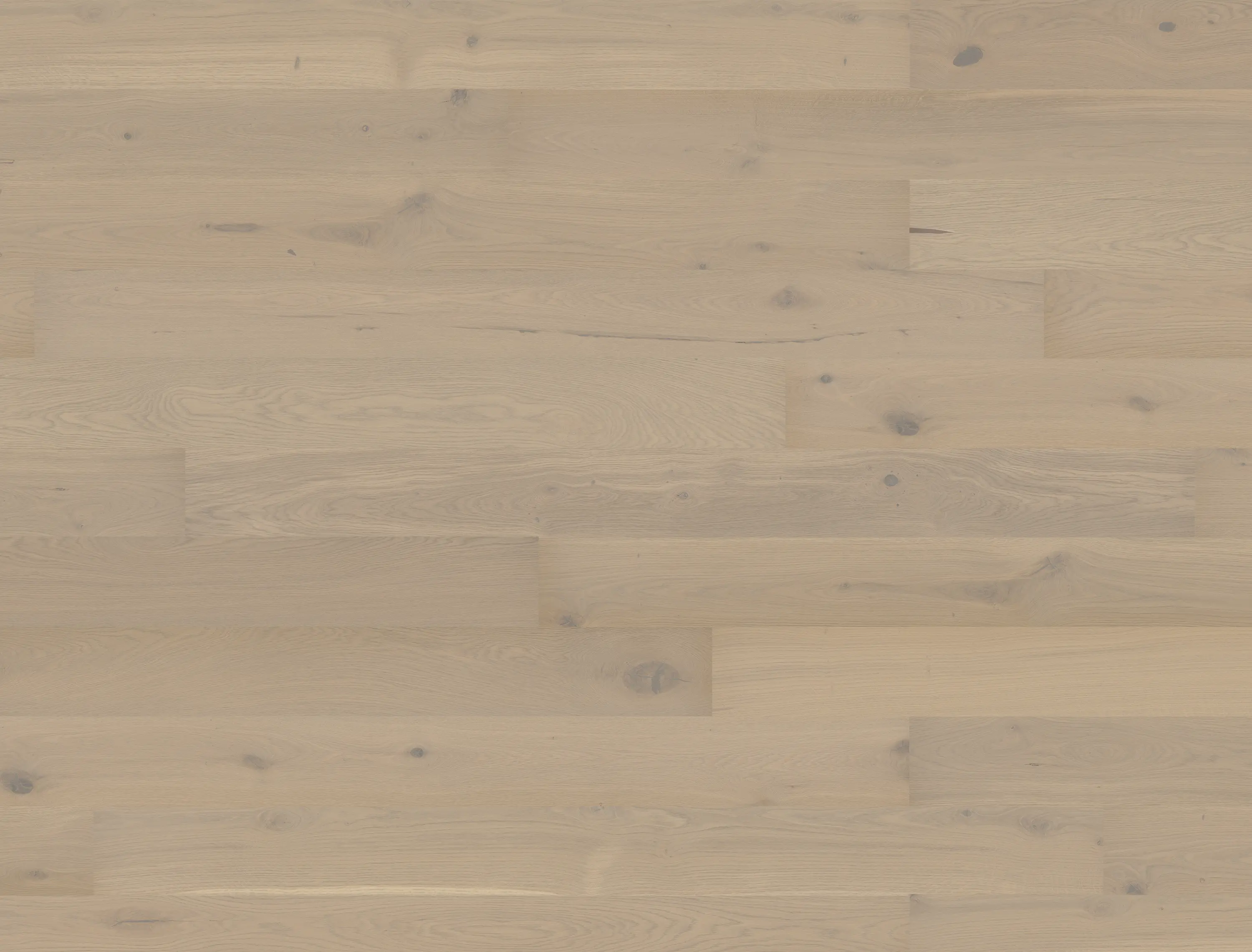 Bauwerk Parkett - Villapark Oak Sasso 46