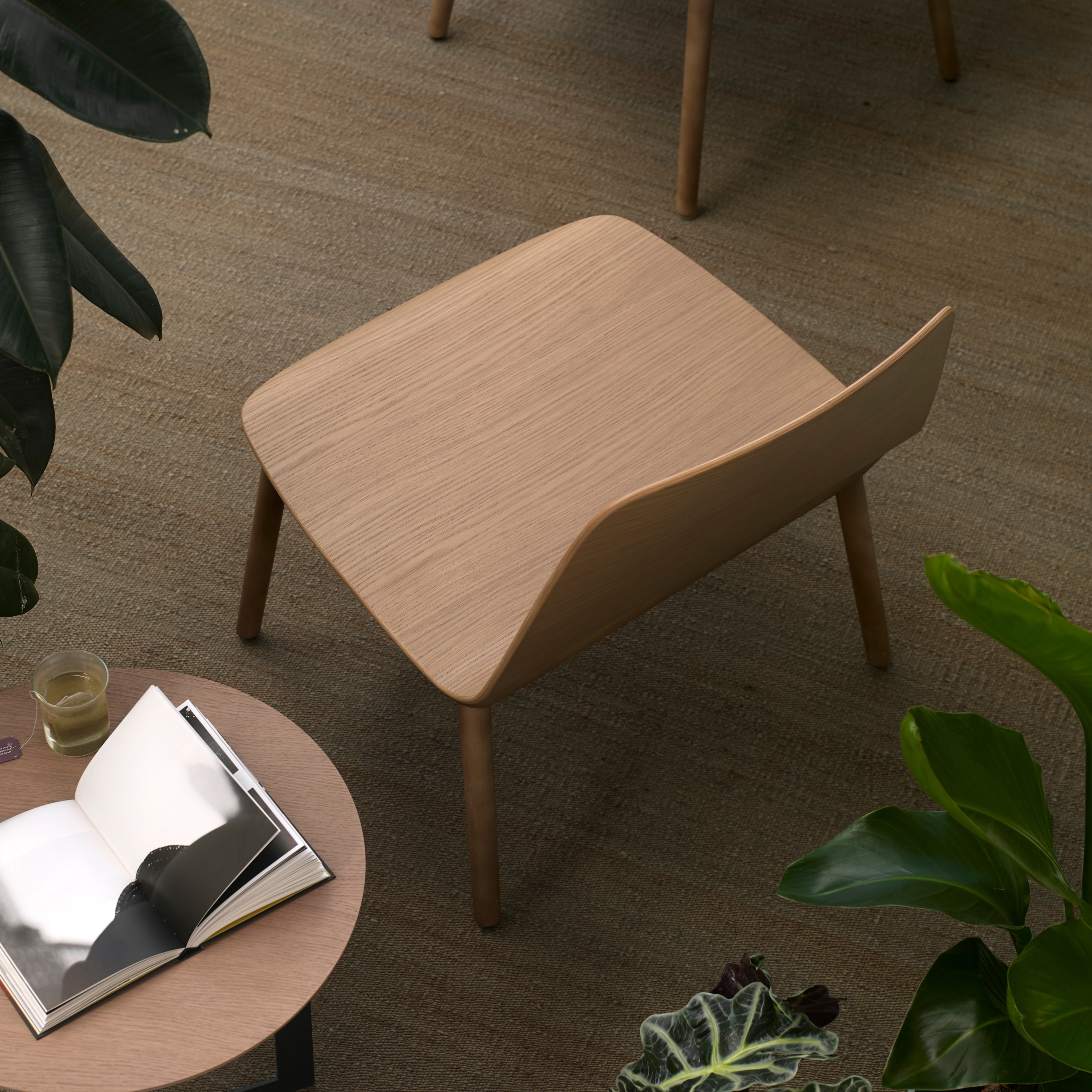 Mostrar el producto Bisell Lounge del fabricante TREKU