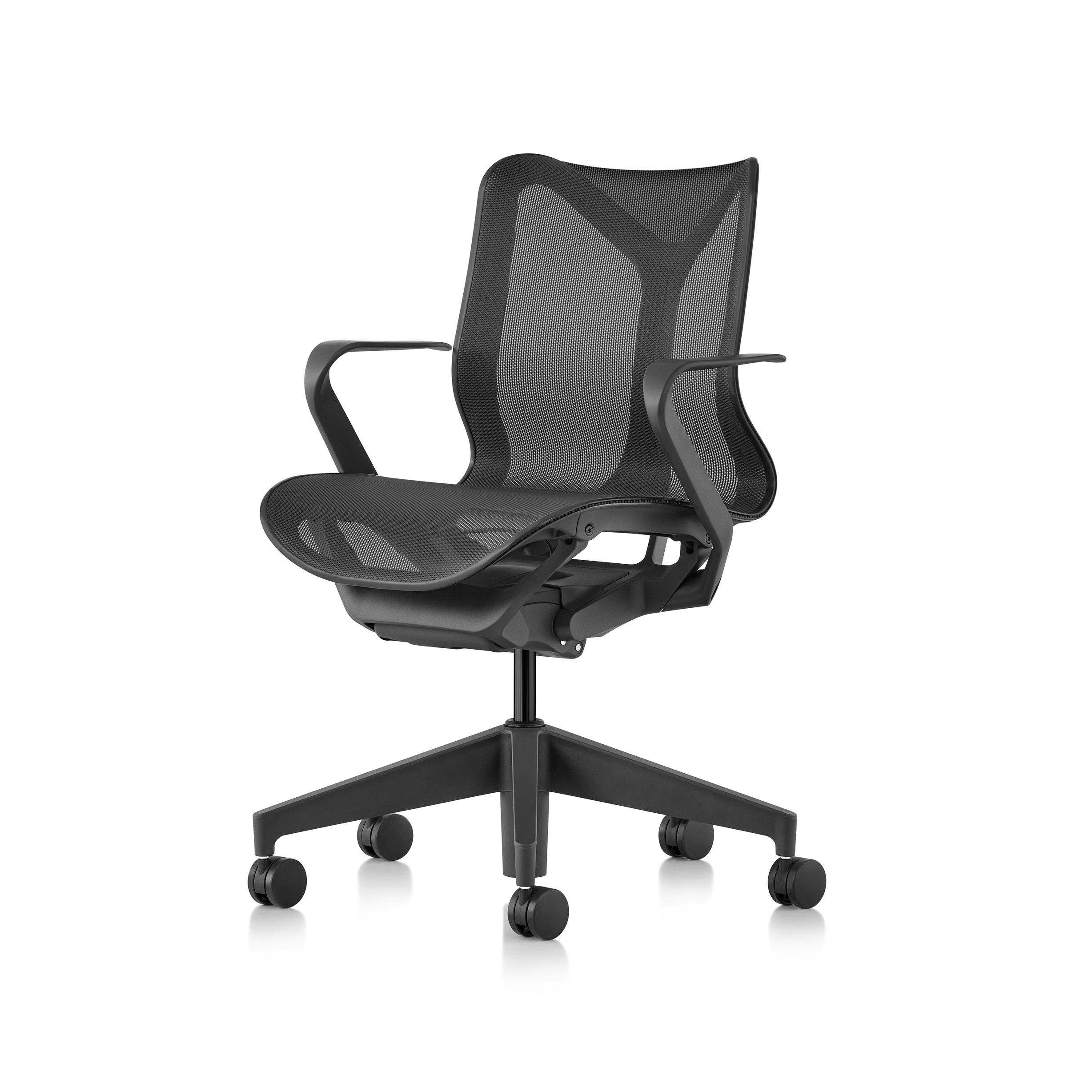 Cosm Low Back