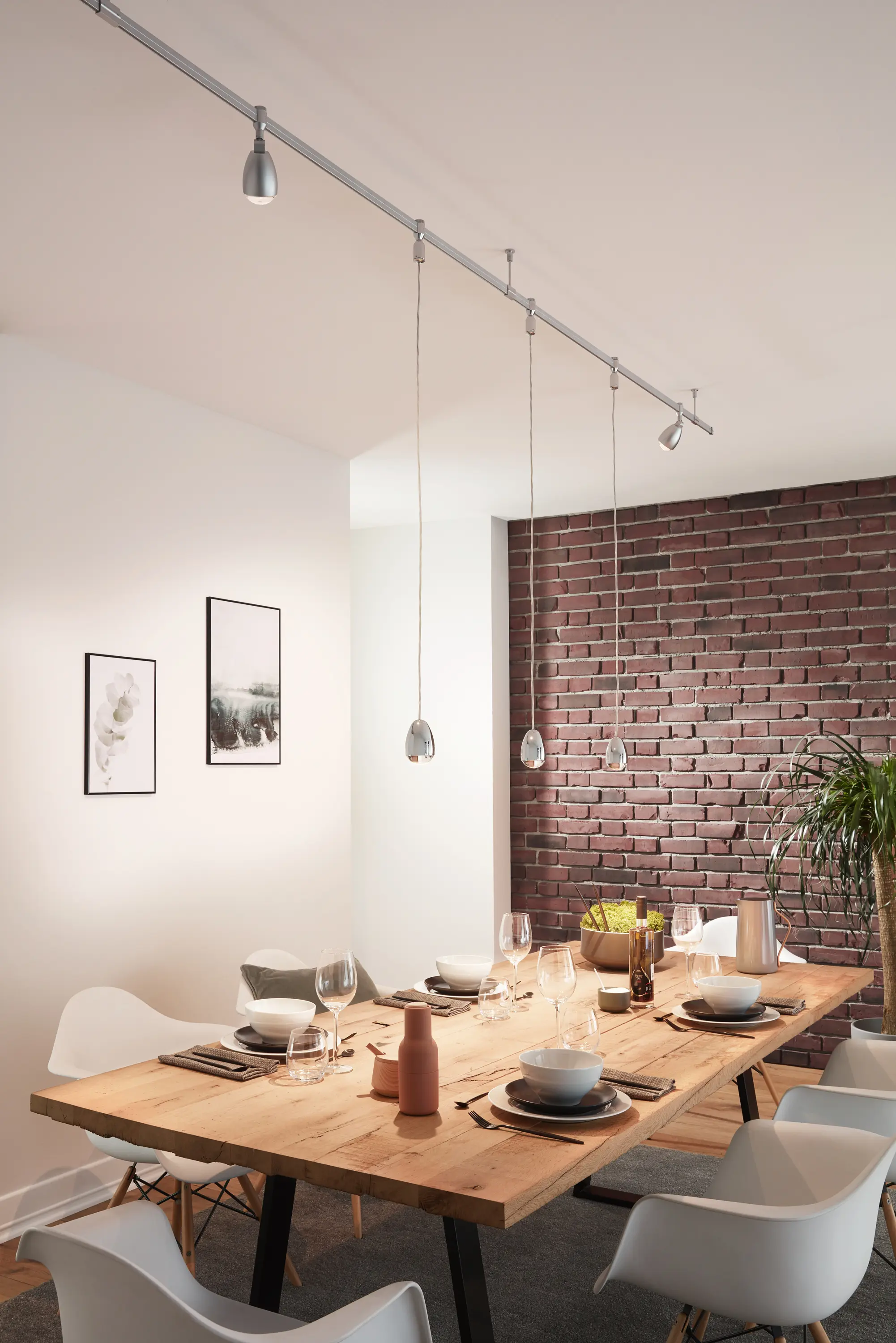 OLIGO - Rocket - Spot