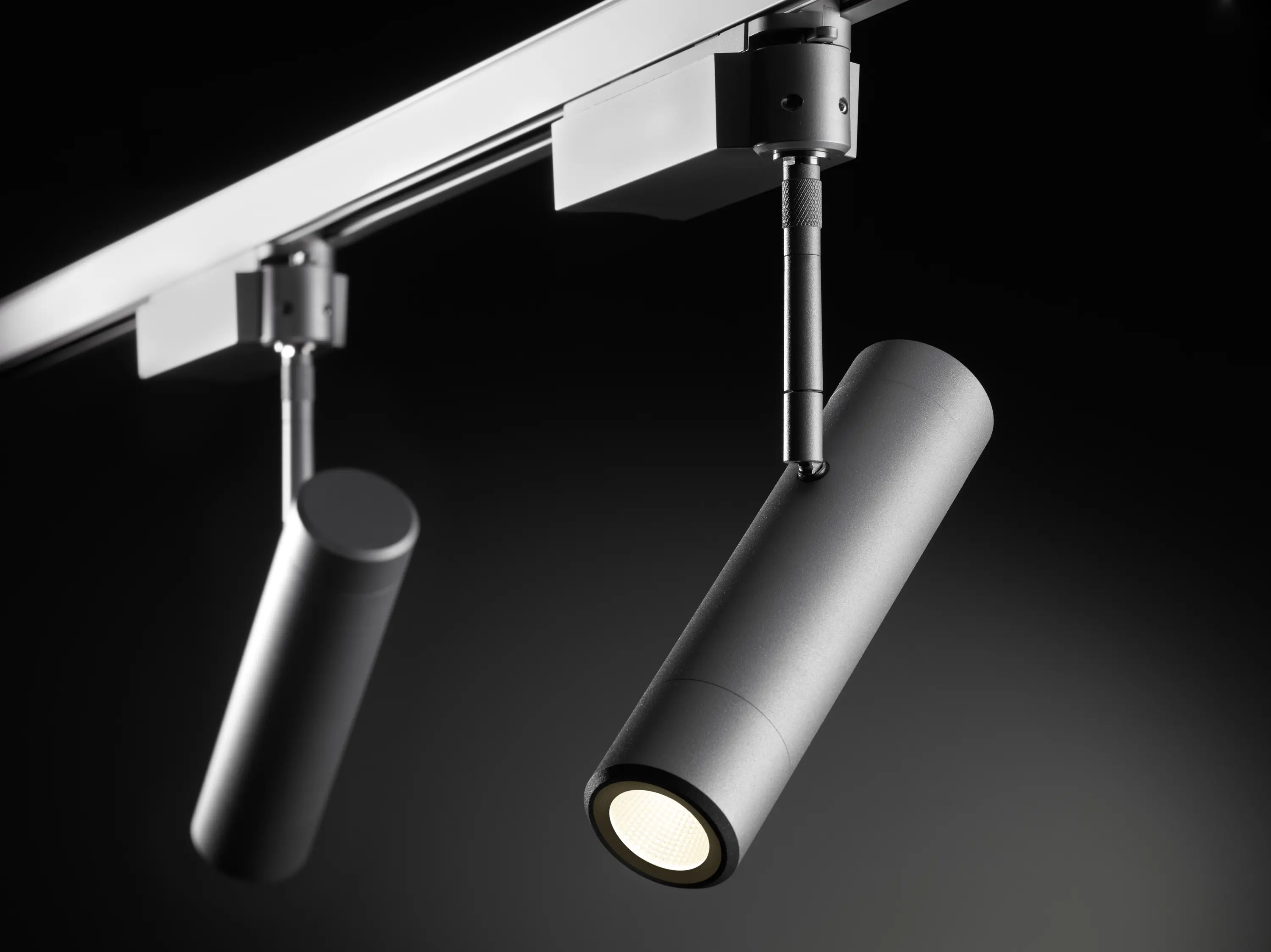 OLIGO - Sentry - Spot