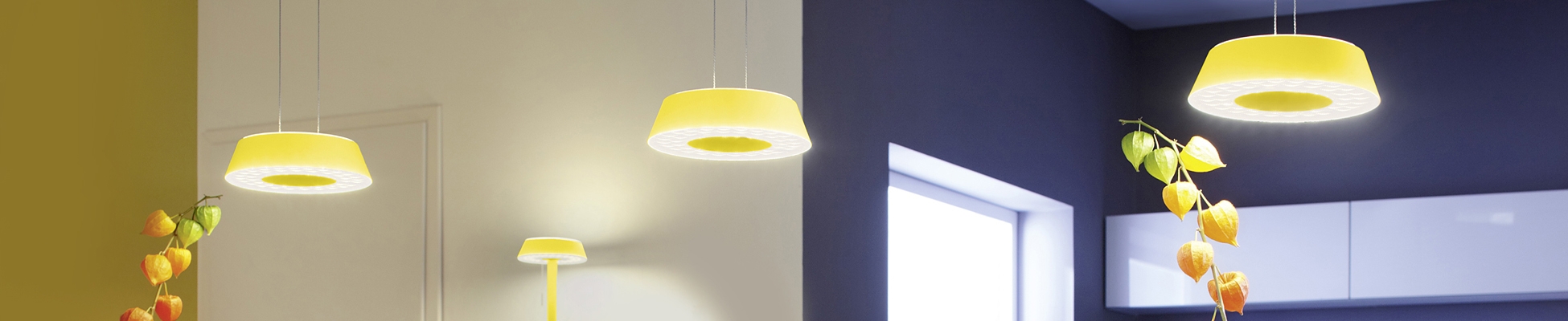 Discover the world of manufacturer OLIGO