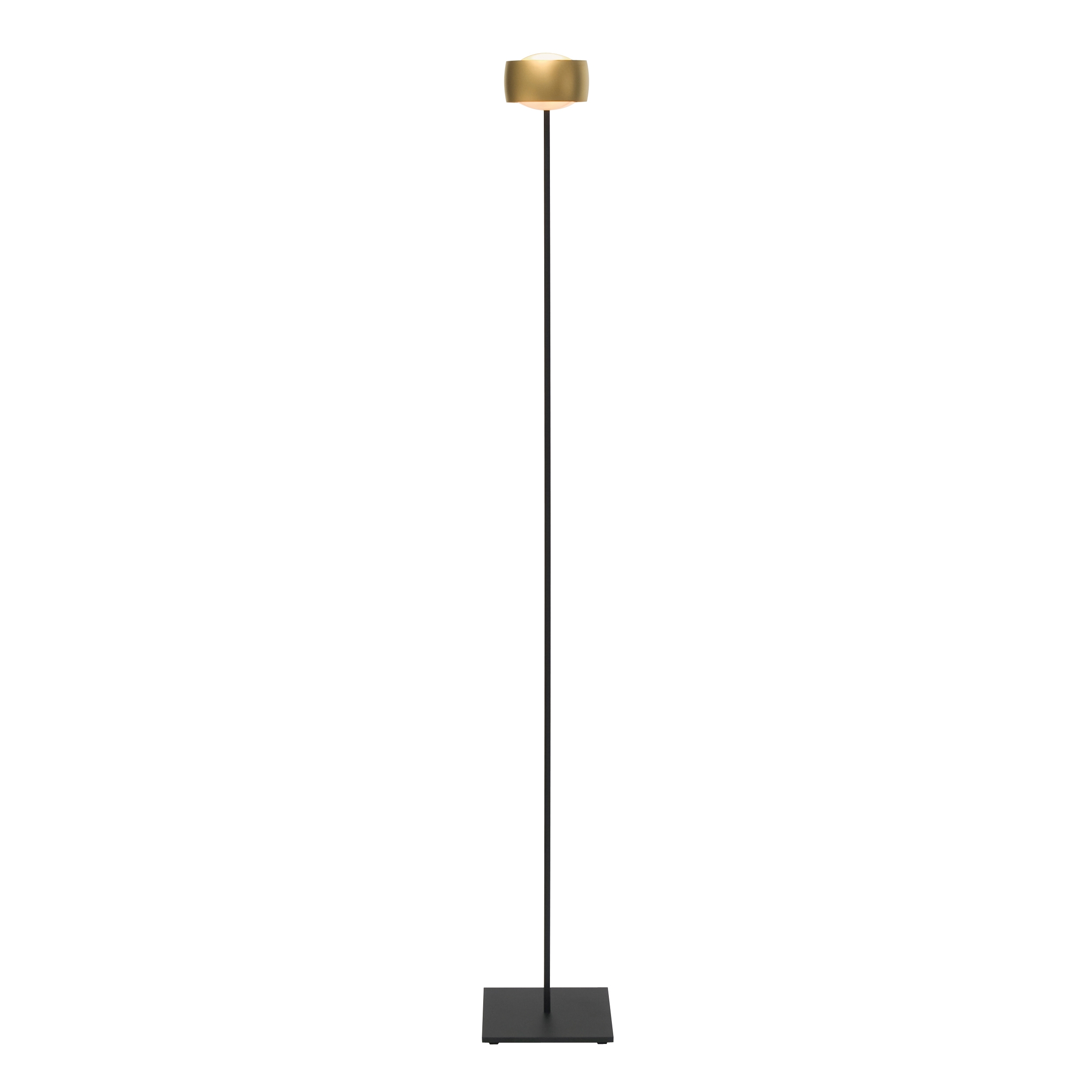 Grace - Floor Luminaire