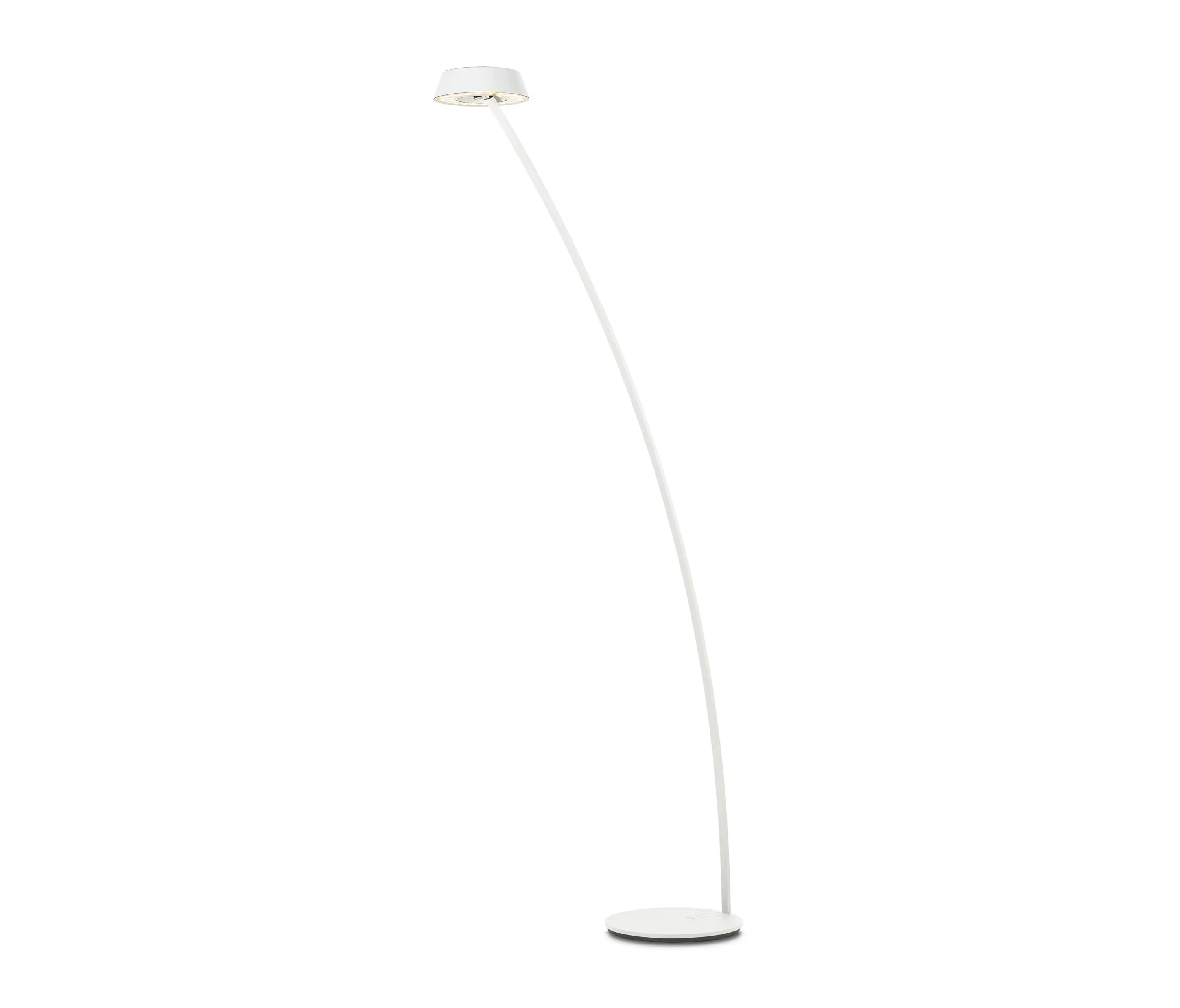 OLIGO - Glance - Floor Luminaire