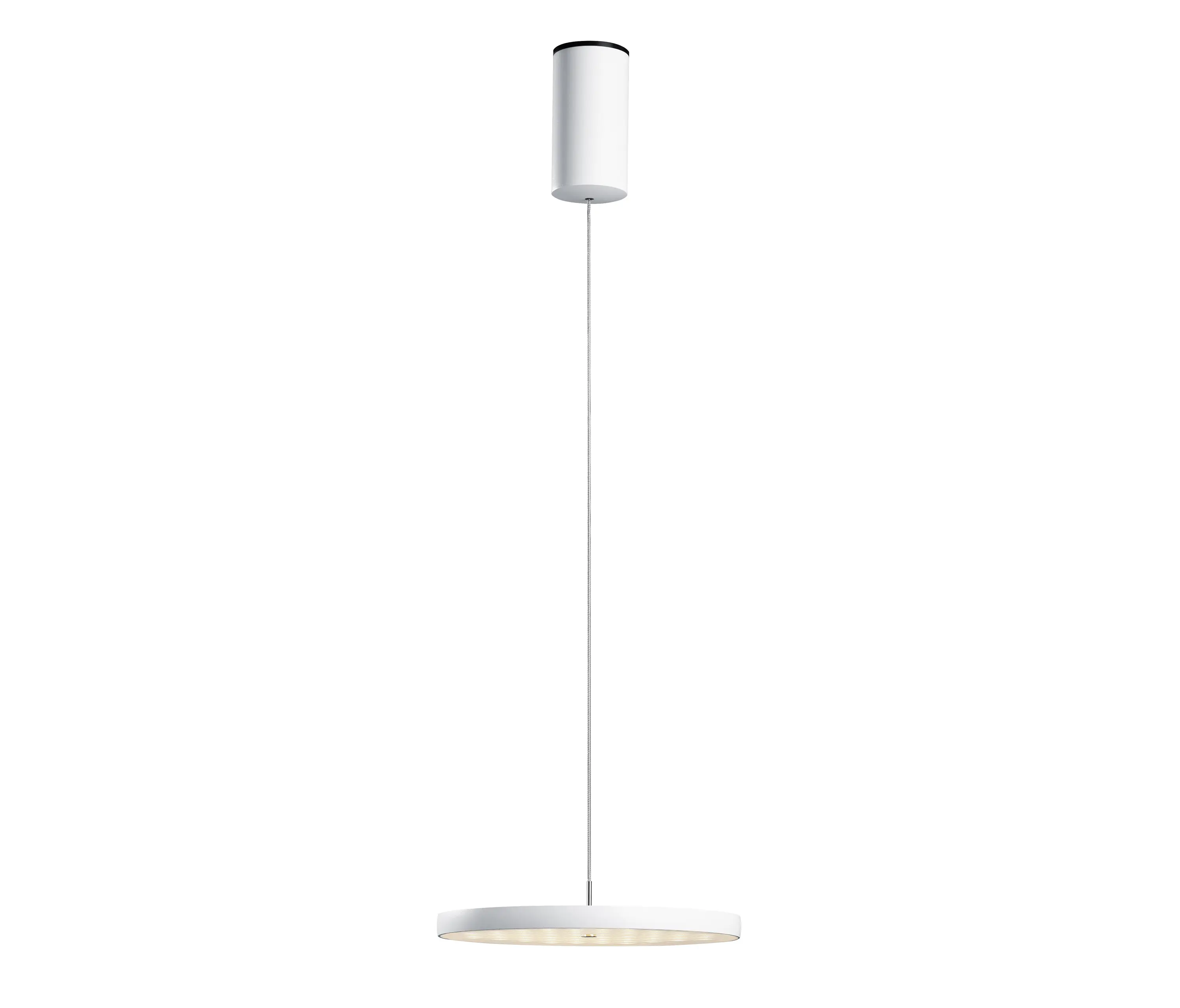 OLIGO - Decent Max - Pendant Luminaire