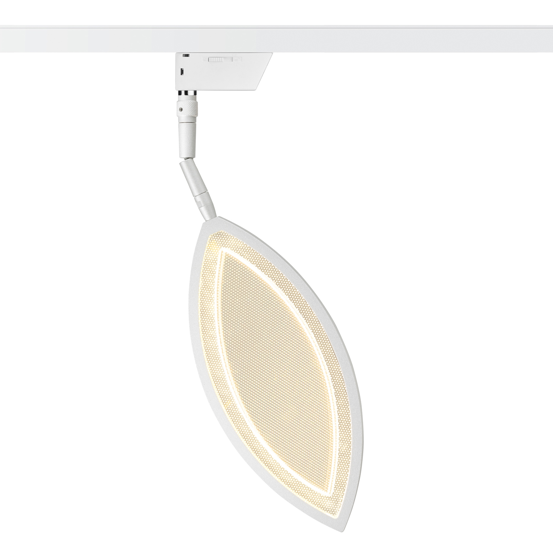 Display product Flavia - Spot from manufacturer OLIGO