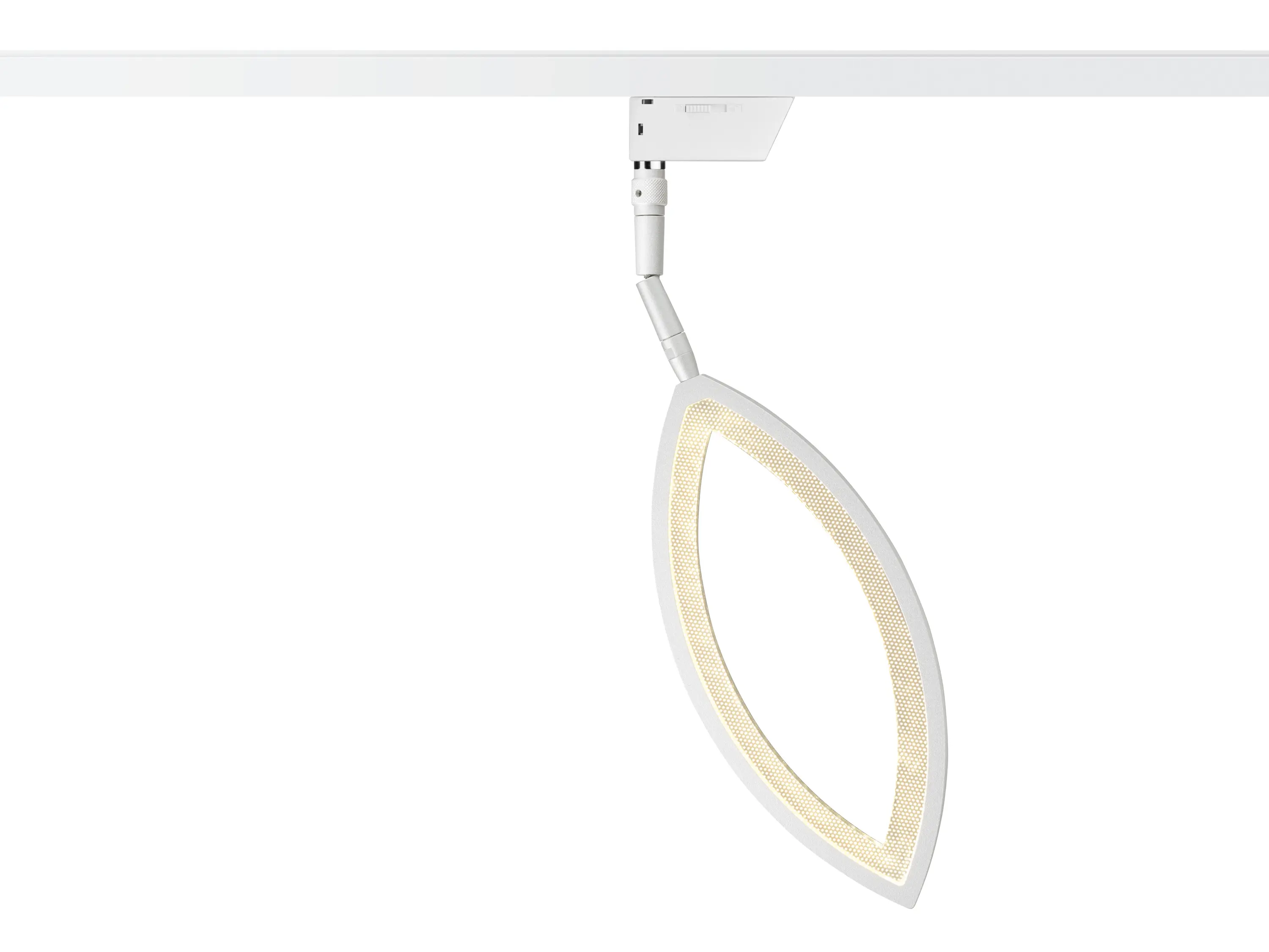 OLIGO - Flavia - Spot