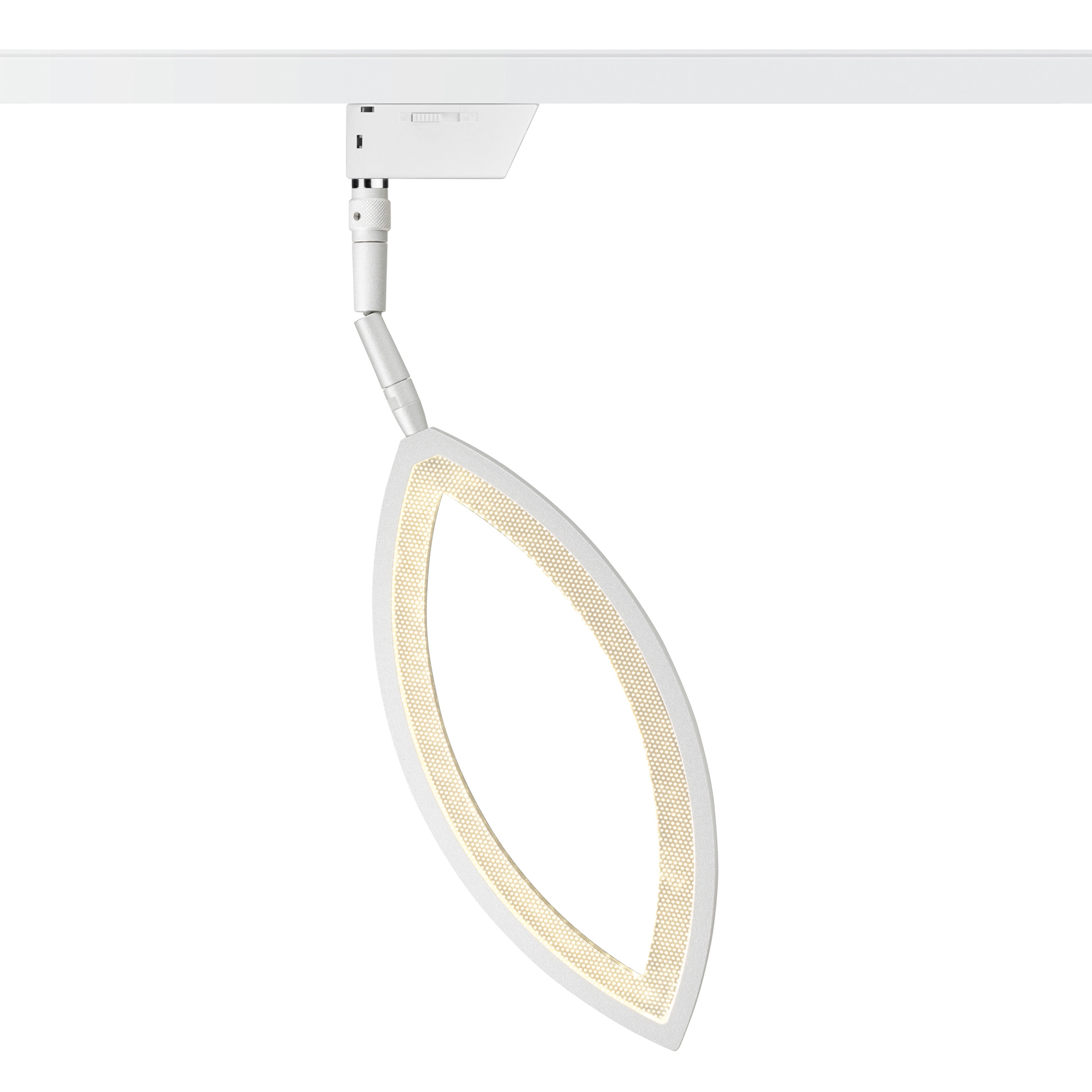 Display product Flavia - Spot from manufacturer OLIGO