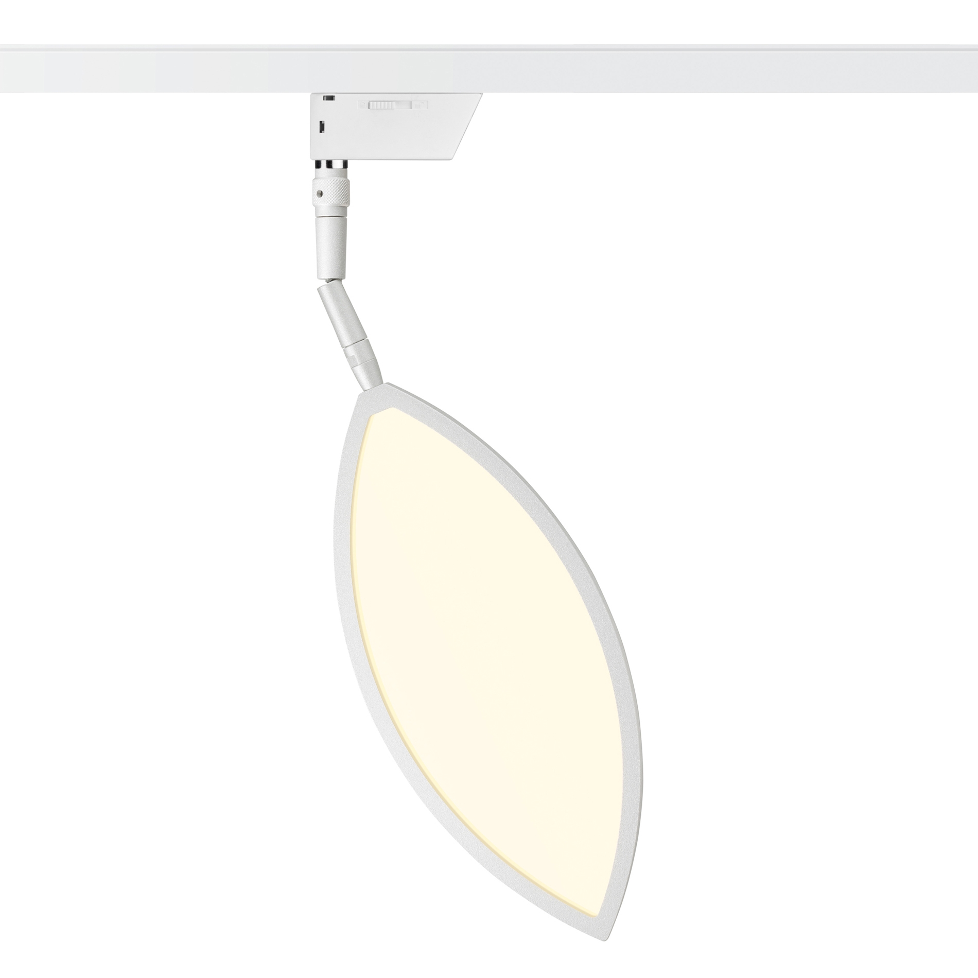 Display product Flavia - Spot from manufacturer OLIGO