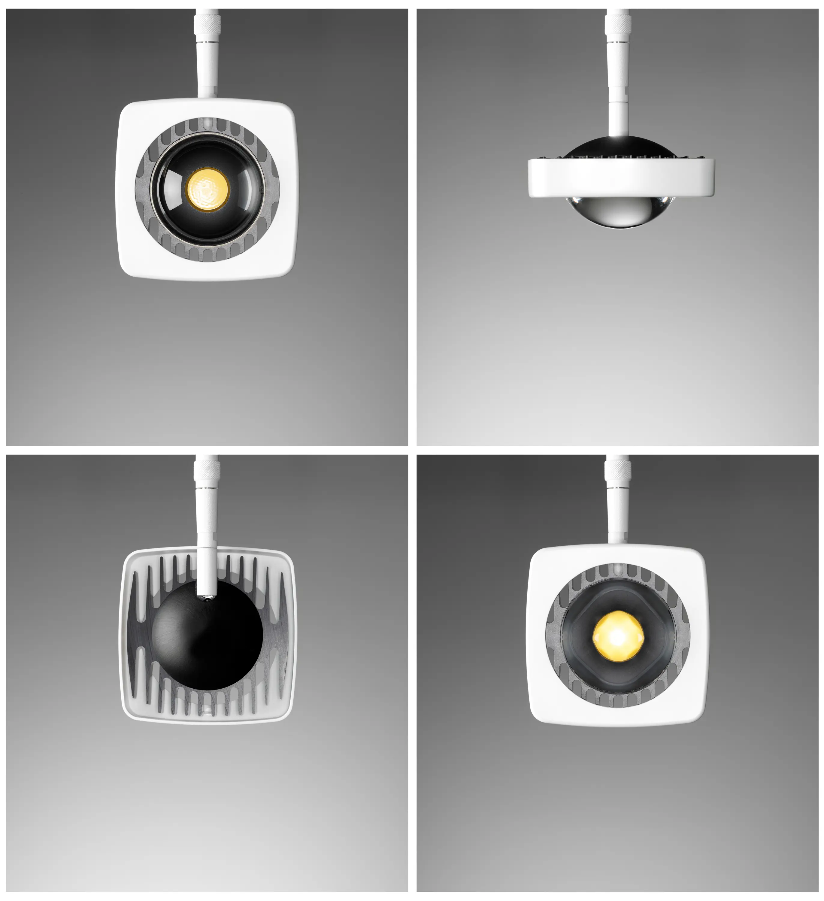 OLIGO - Kelveen - Spot