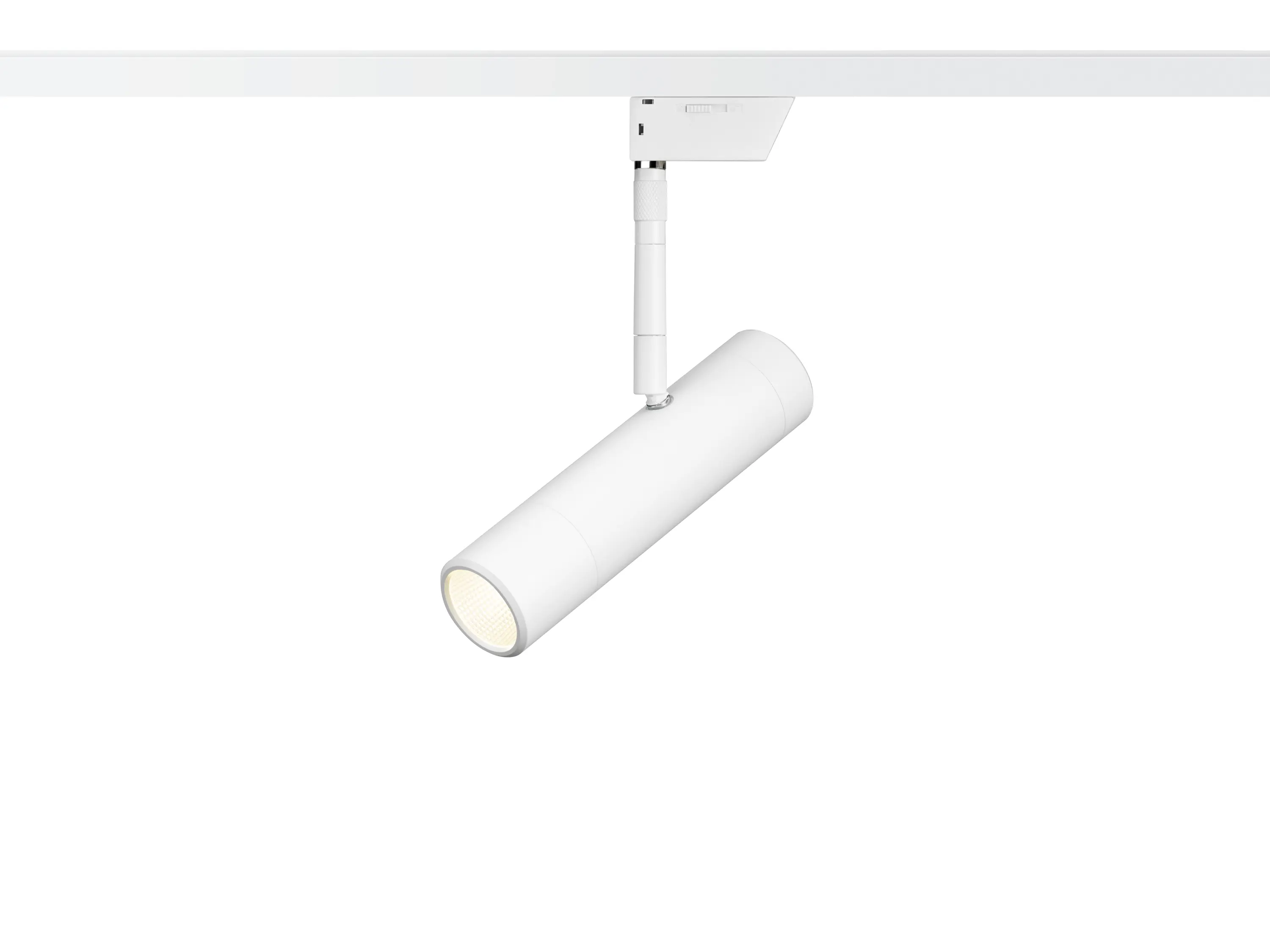OLIGO - Sentry - Spot