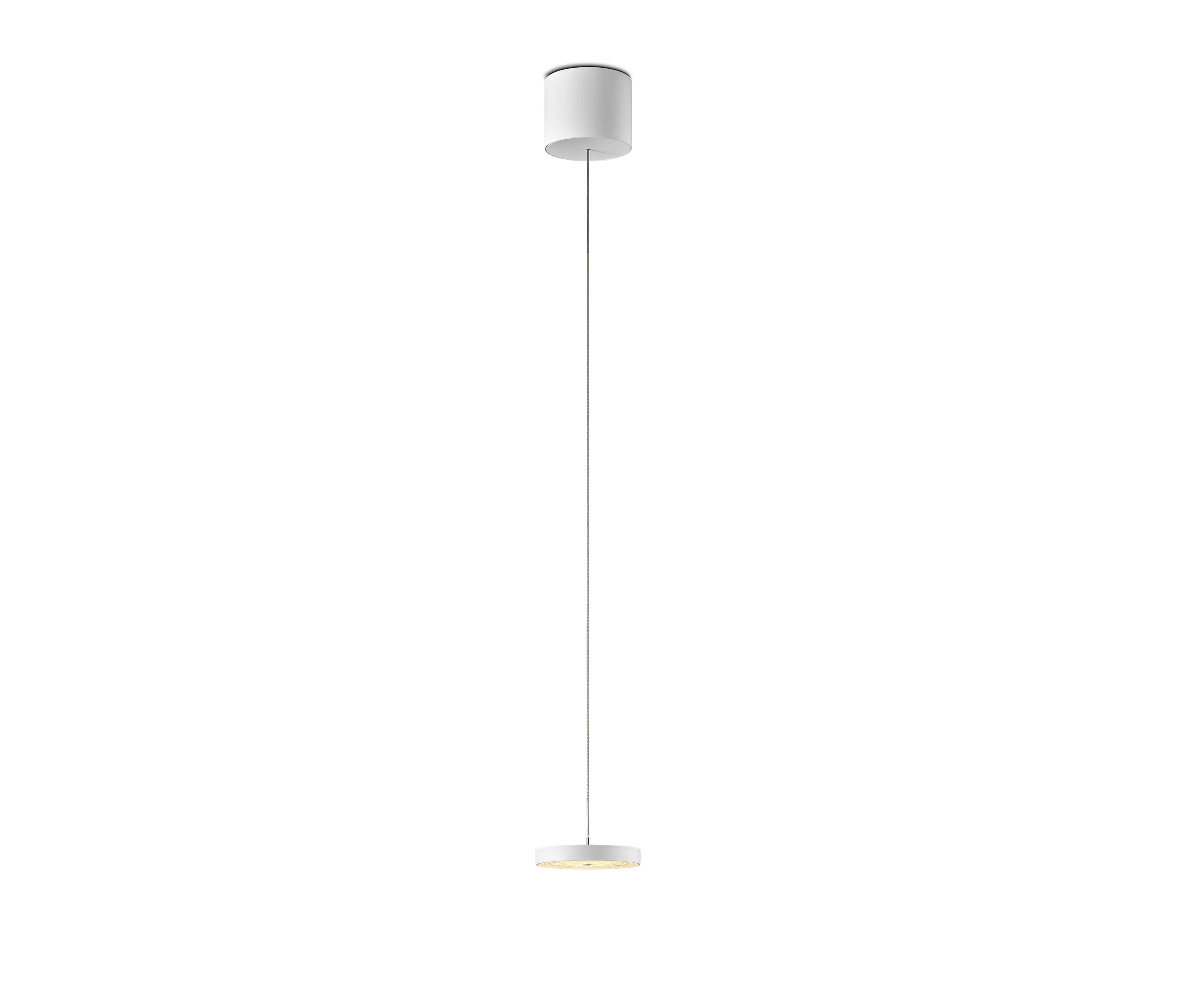 OLIGO - Decent - Pendelleuchte