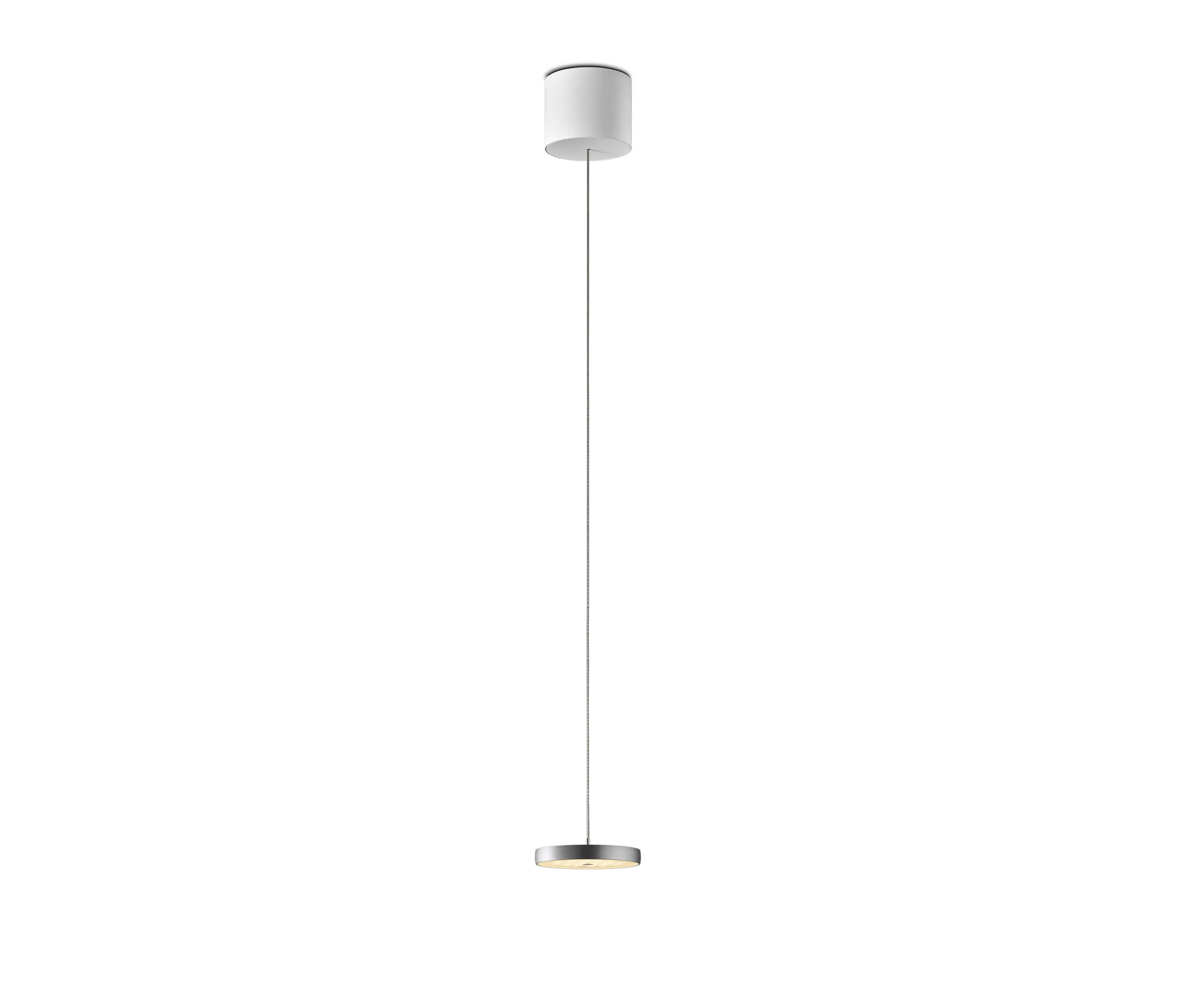OLIGO - Decent - Pendelleuchte