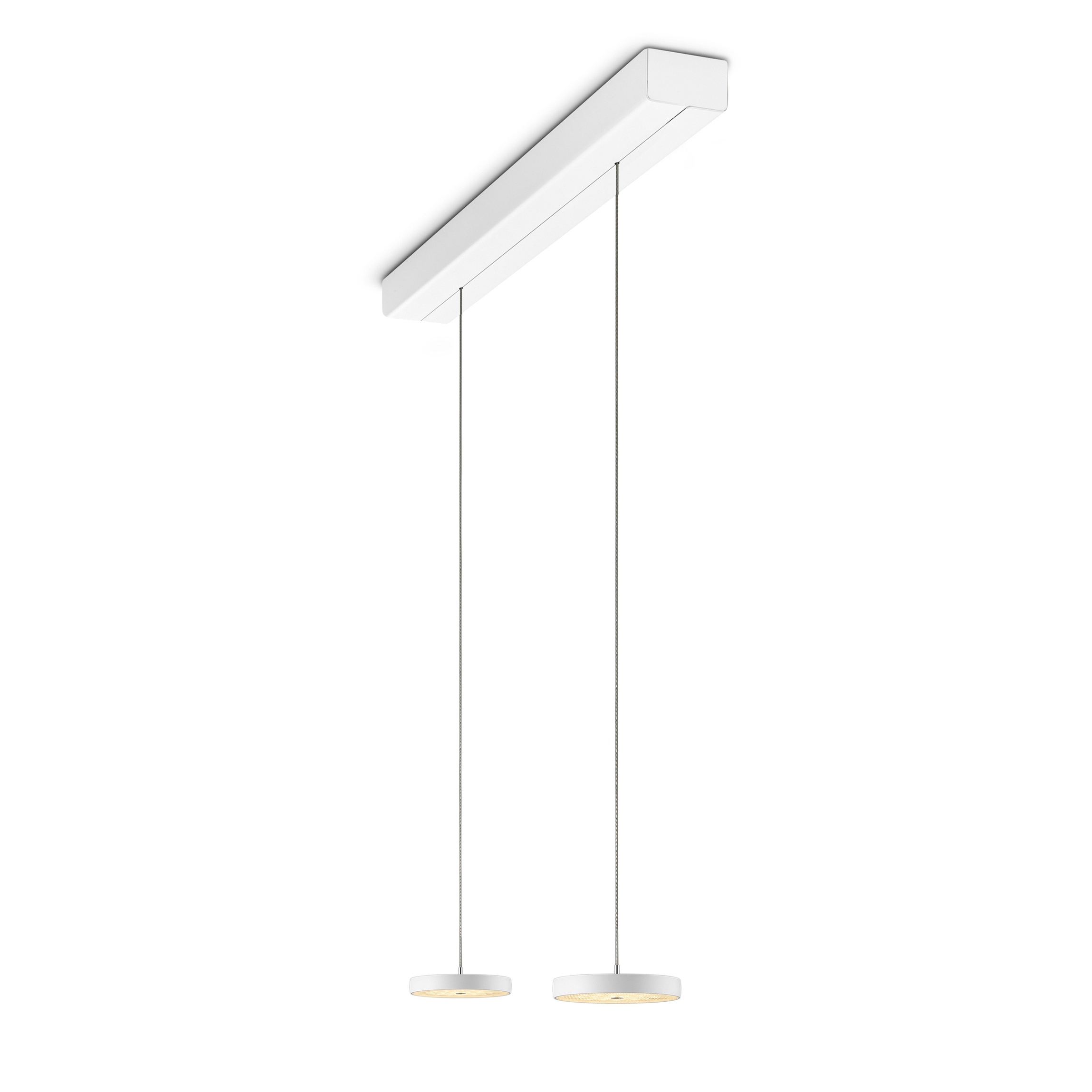 Decent - Pendant Luminaire