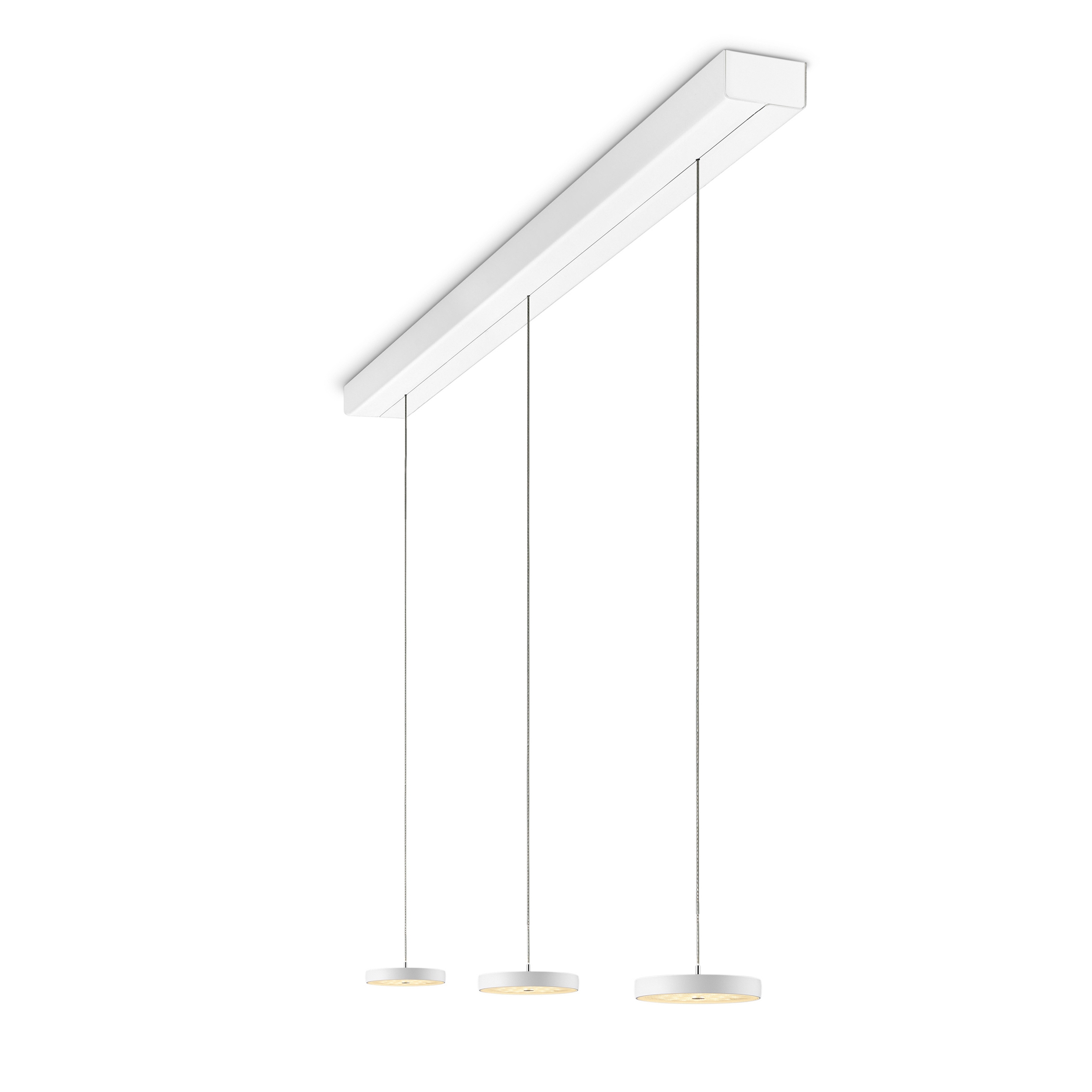 Decent - Pendant Luminaire