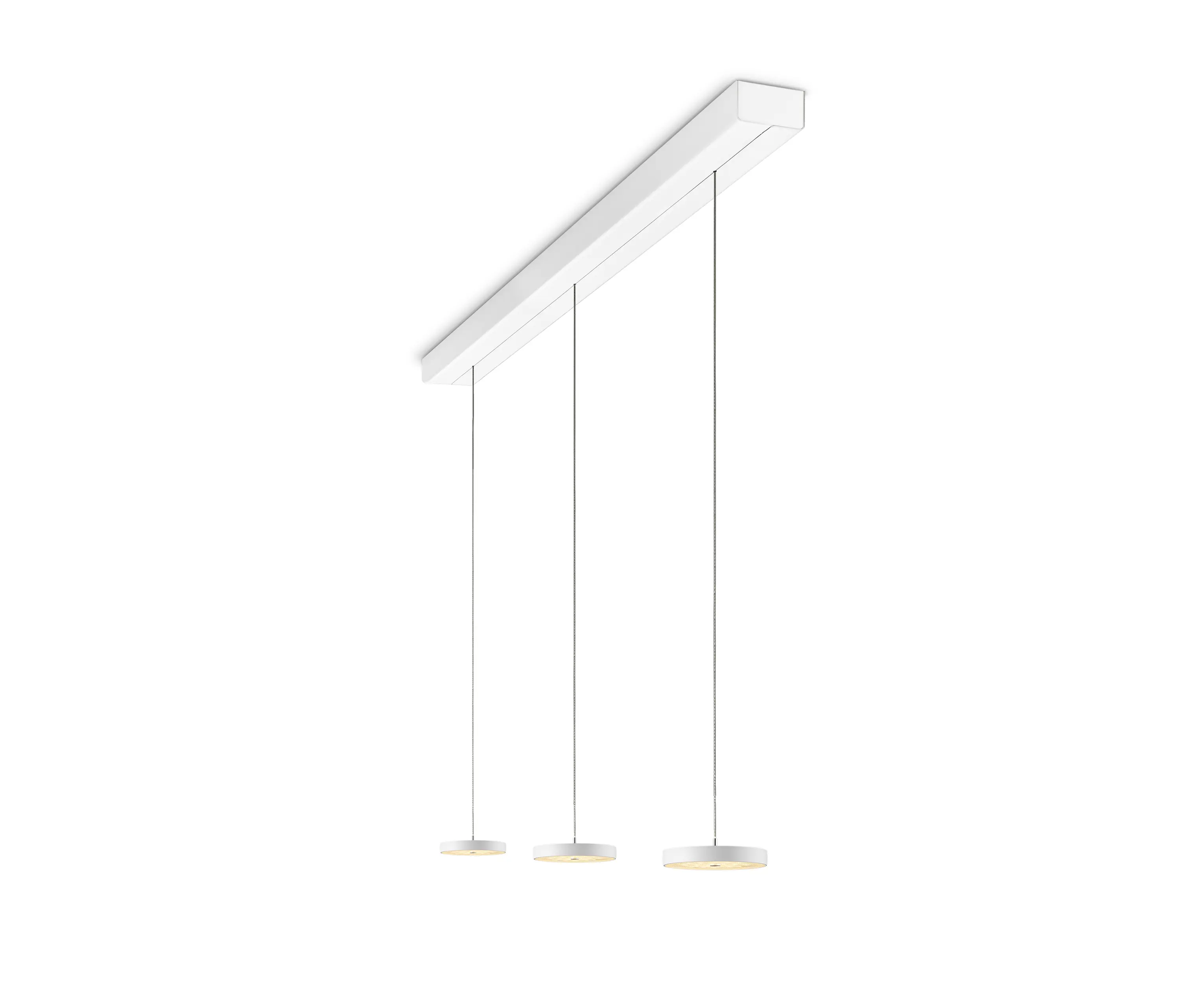 OLIGO - Decent - Pendant Luminaire