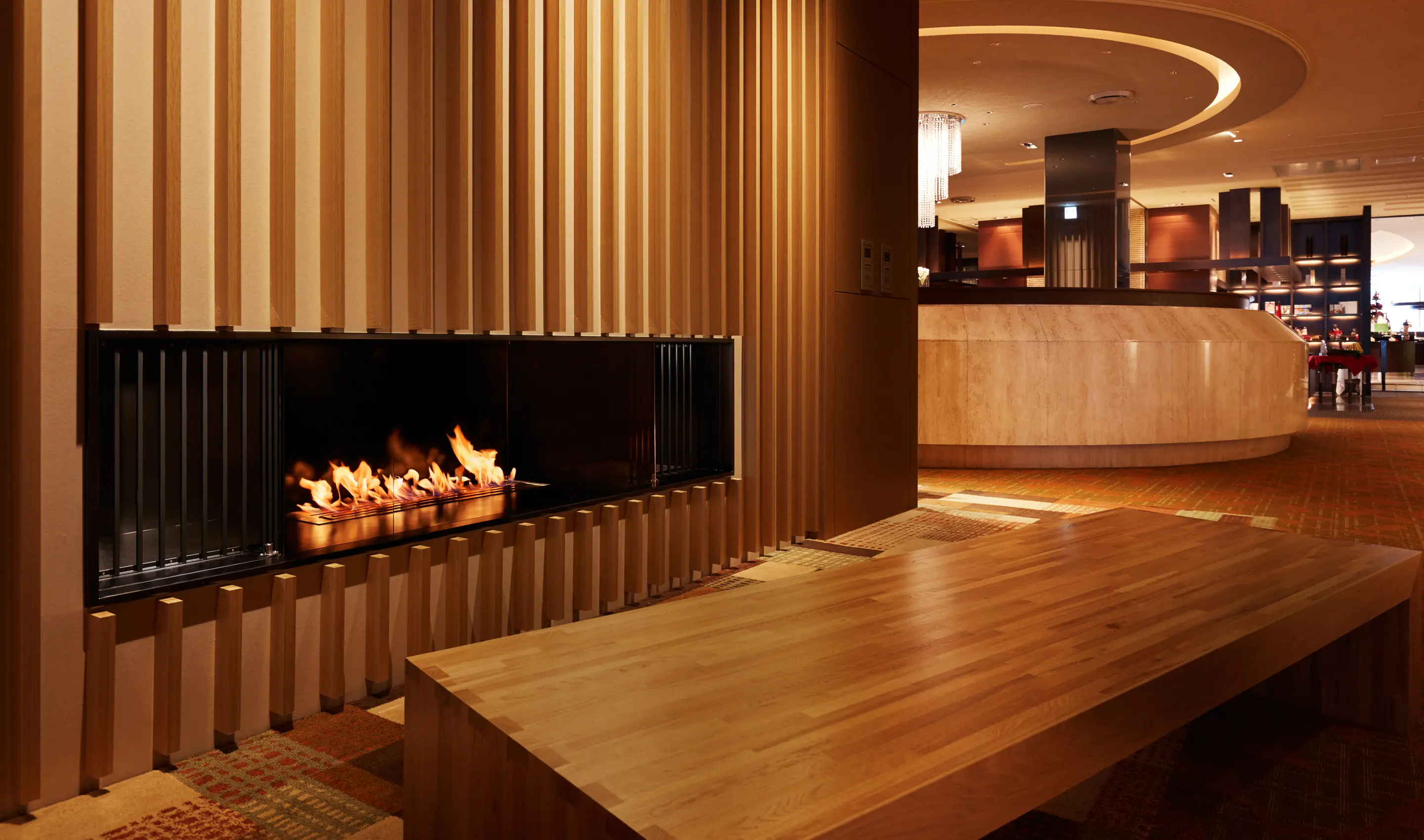 EcoSmart Fire - XL900