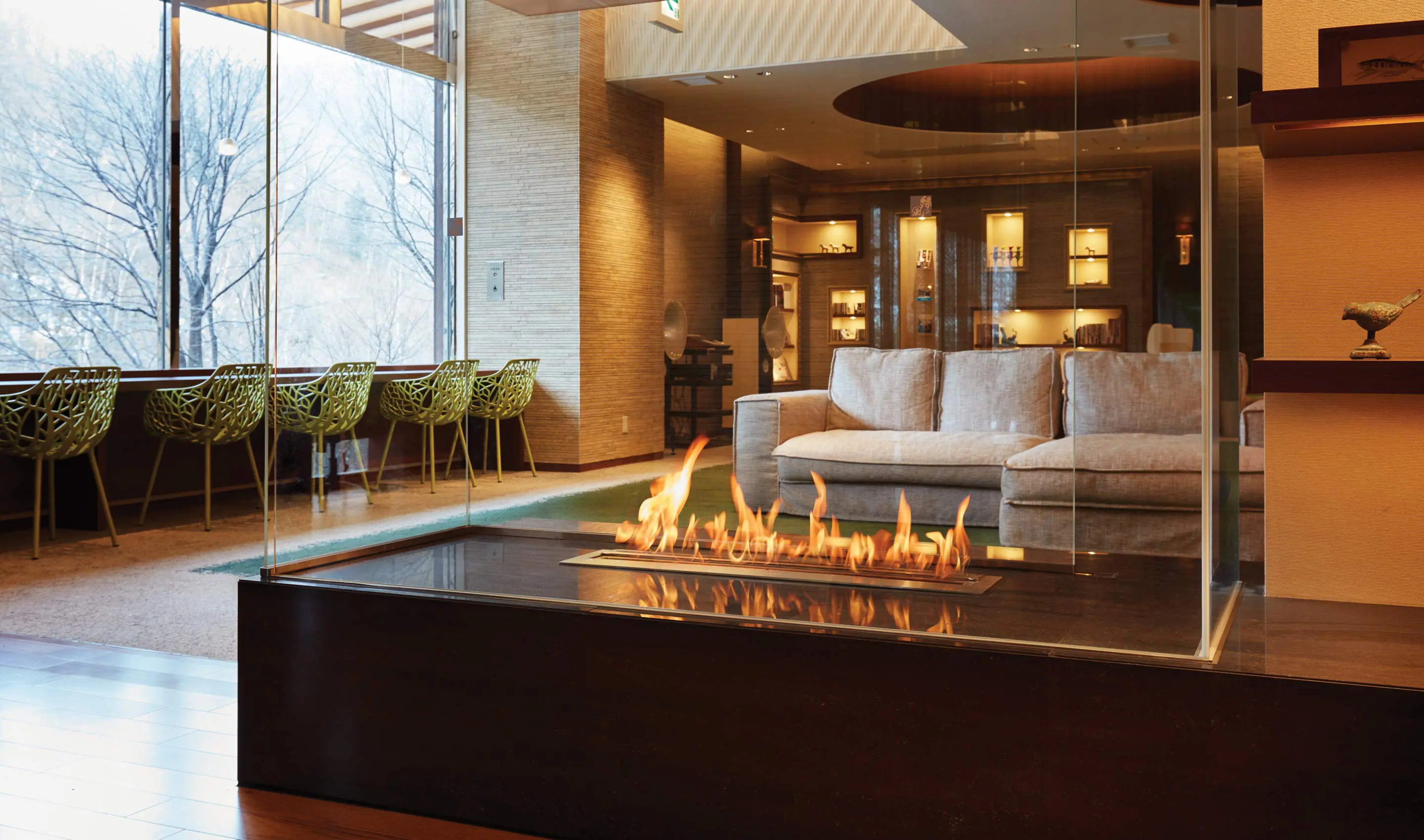 EcoSmart Fire - XL900