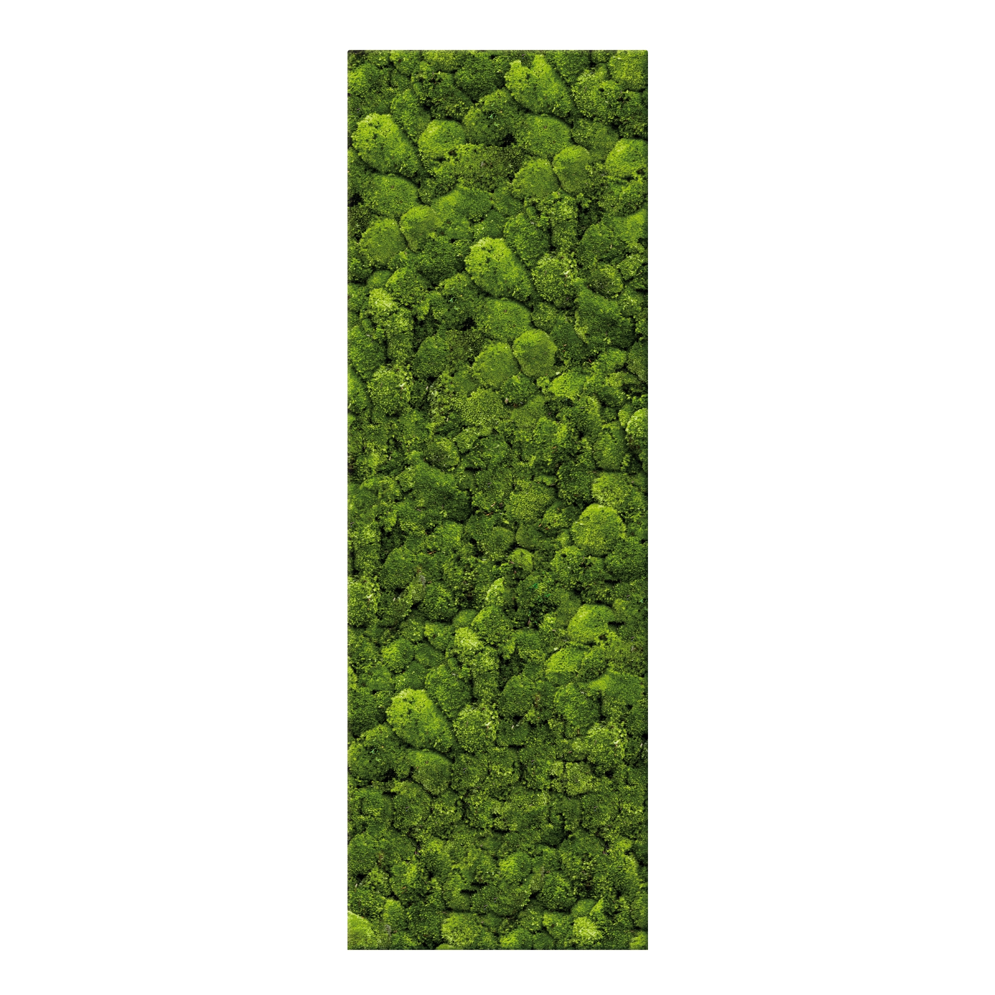 Display product Moosbild Bar 80x240 cm from manufacturer art aqua