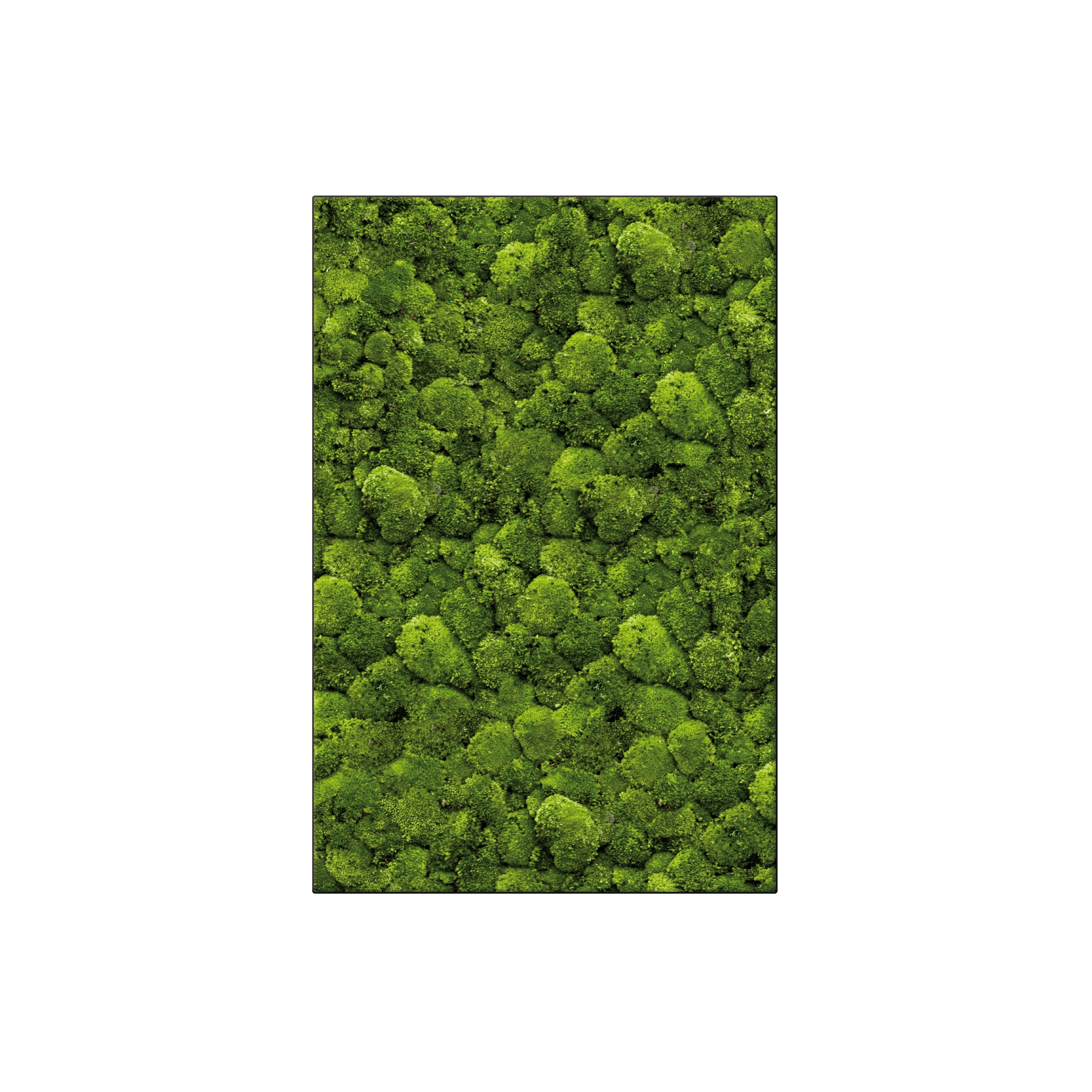 Display product Moosbild Rectangle 80x120 cm from manufacturer art aqua