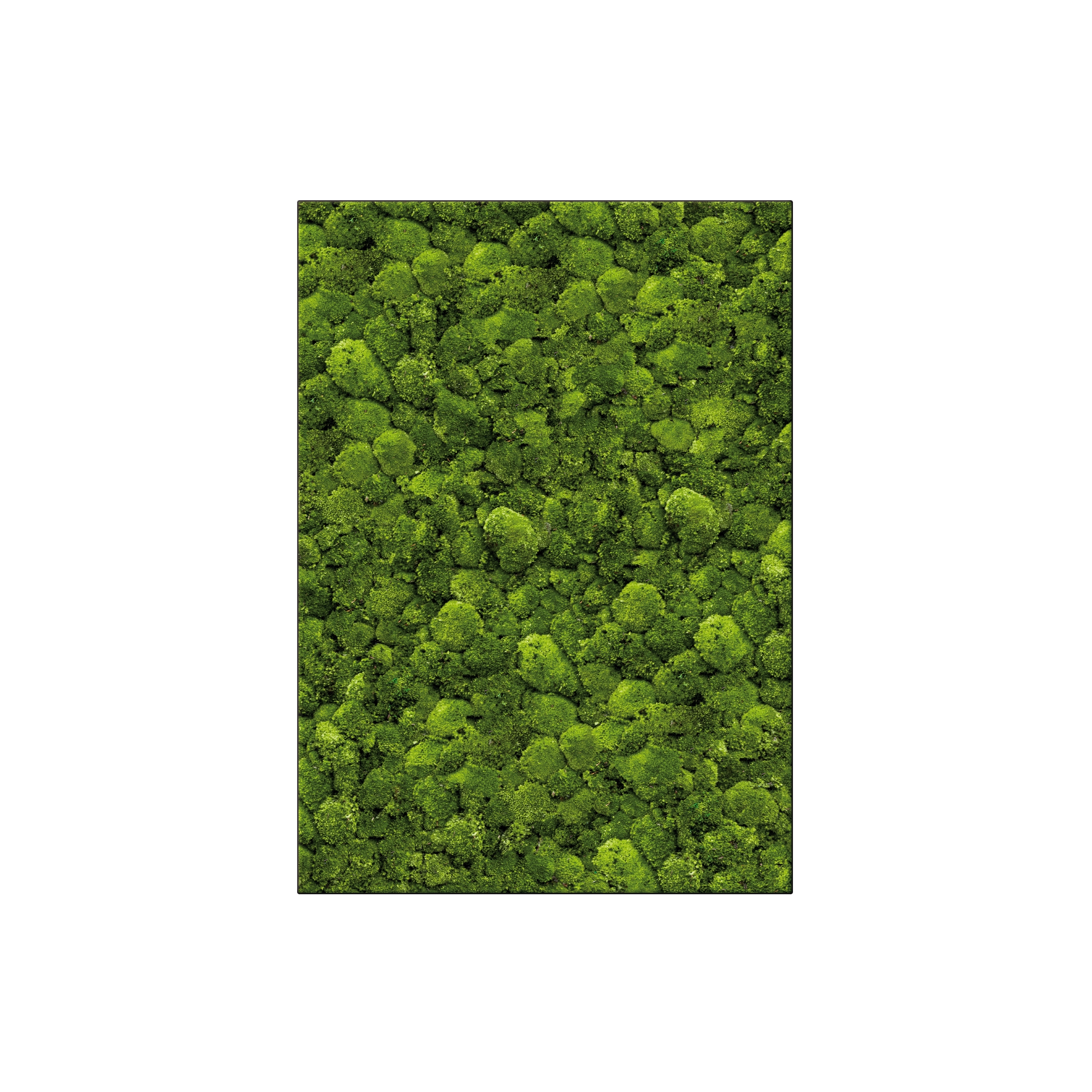 Display product Moosbild Rectangle 100x140 cm from manufacturer art aqua