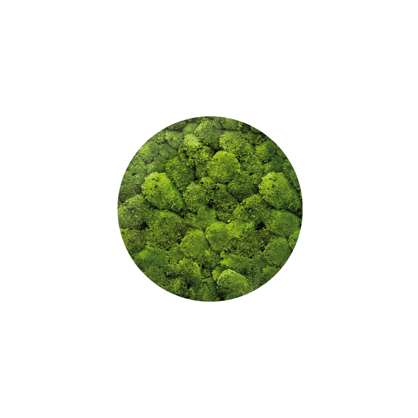 Display product Moosbild Round ø 60 cm from manufacturer art aqua