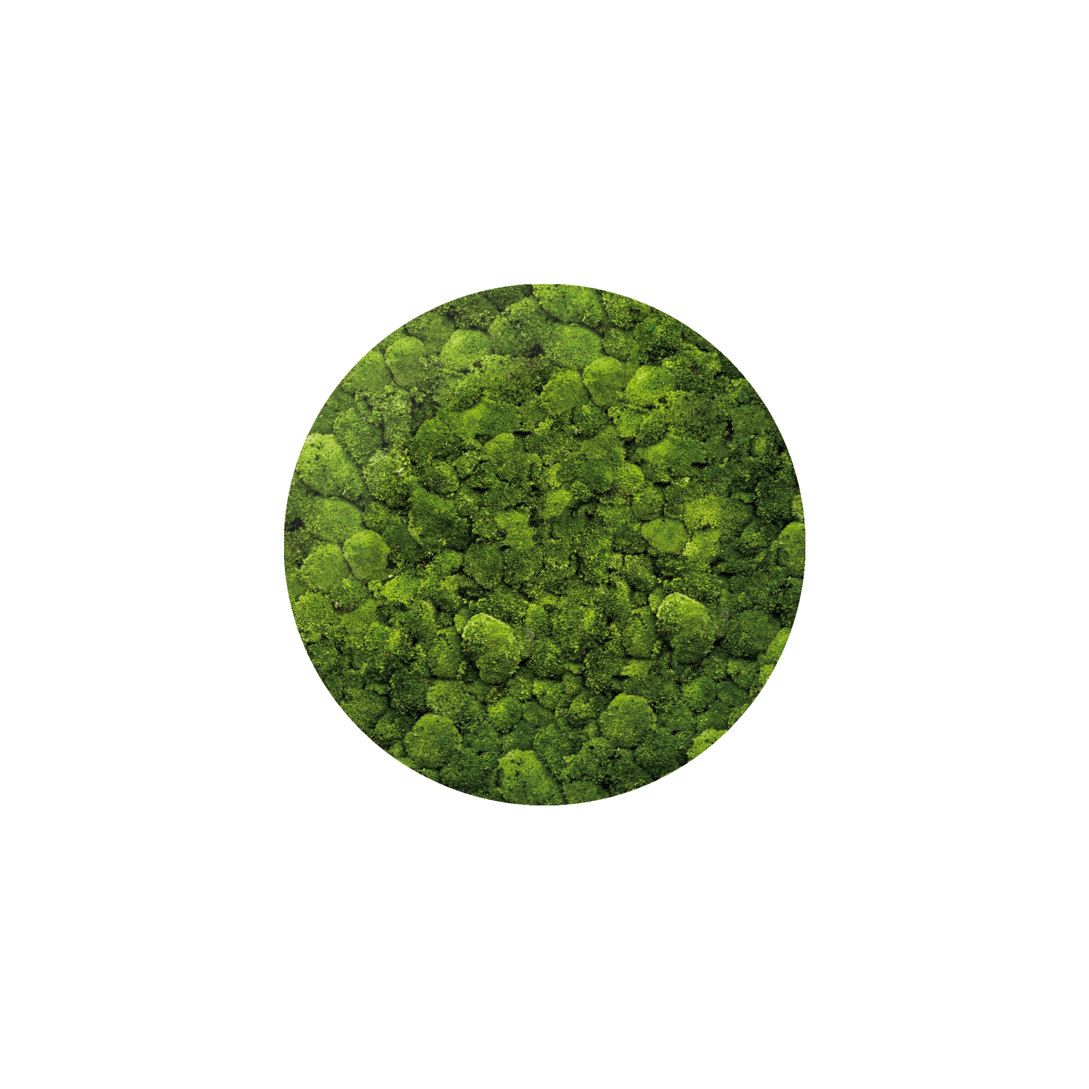 Display product Moosbild Round ø 100 cm from manufacturer art aqua